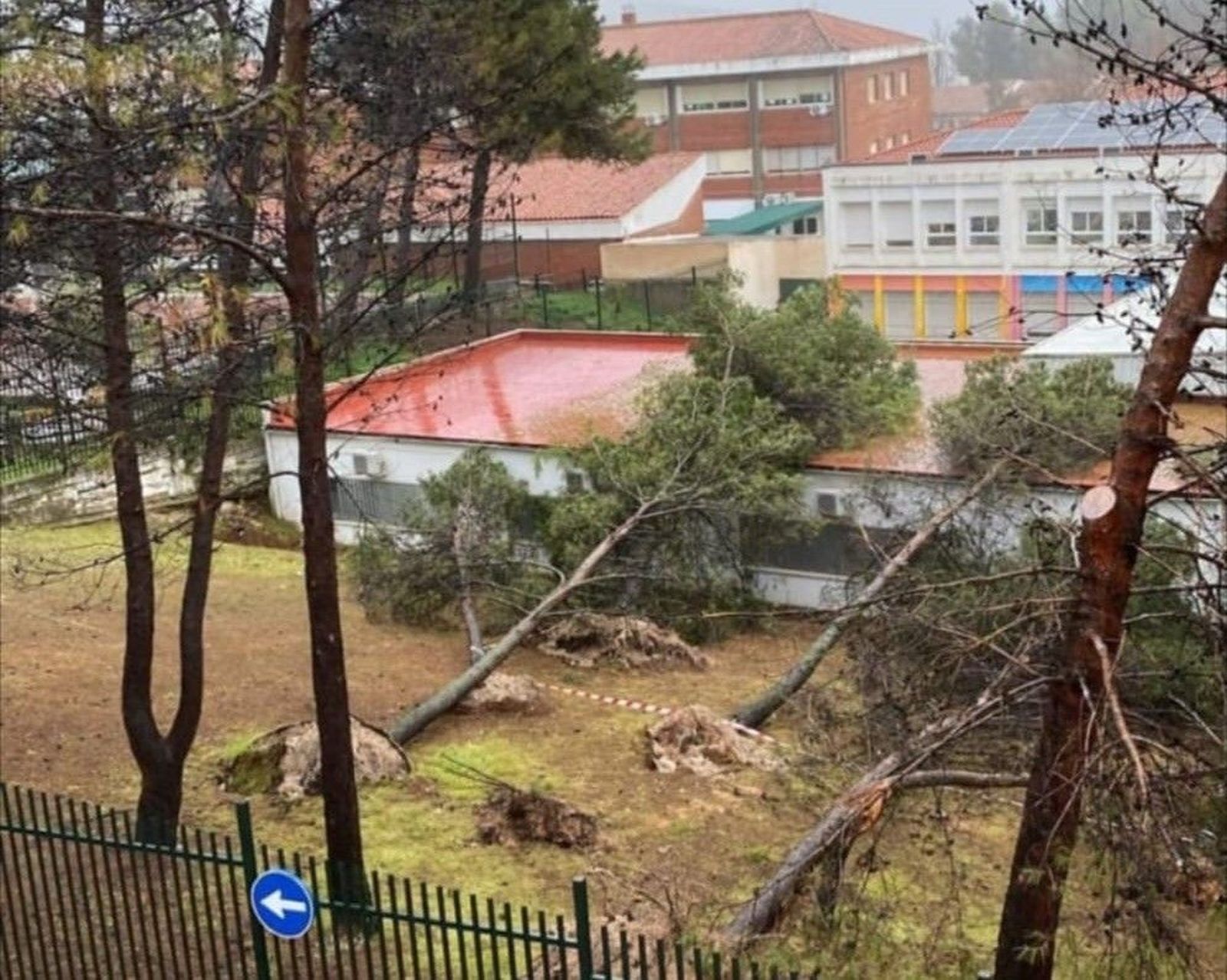 Varios árboles caídos en edificio de un colegio de Priego de Córdoba.