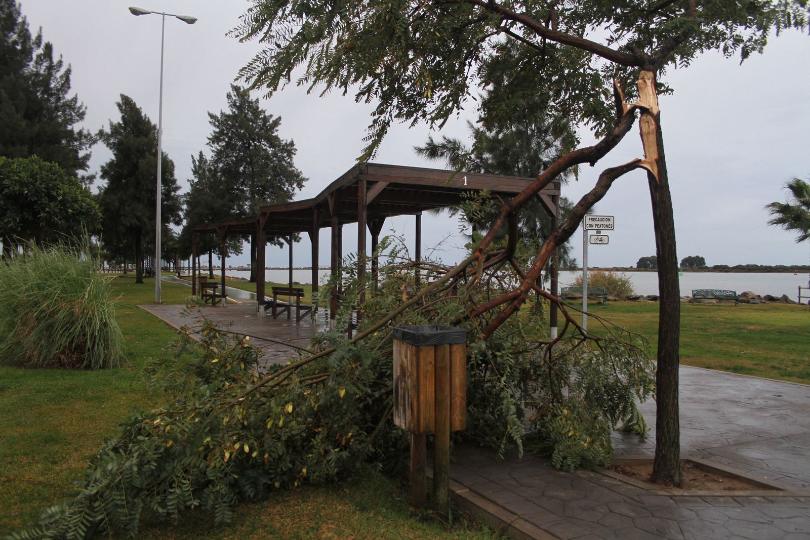 Consecuencias del temporal de lluvia y viento a su paso por la capital