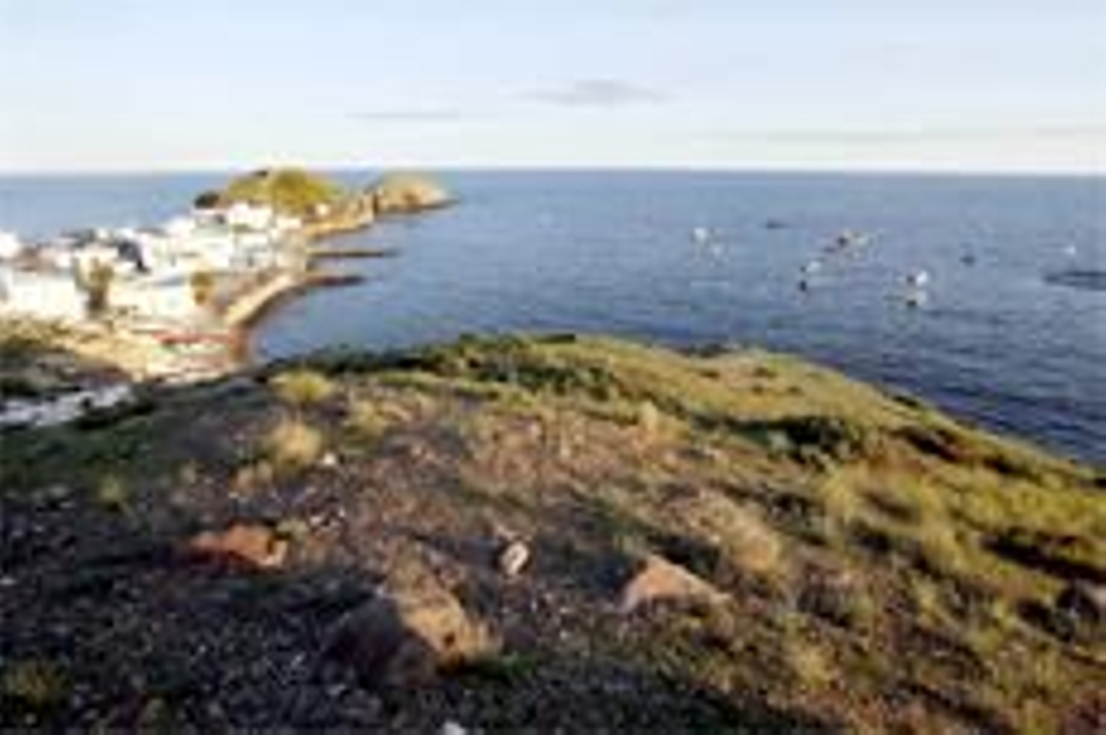 Entre calas de cabo de Gata