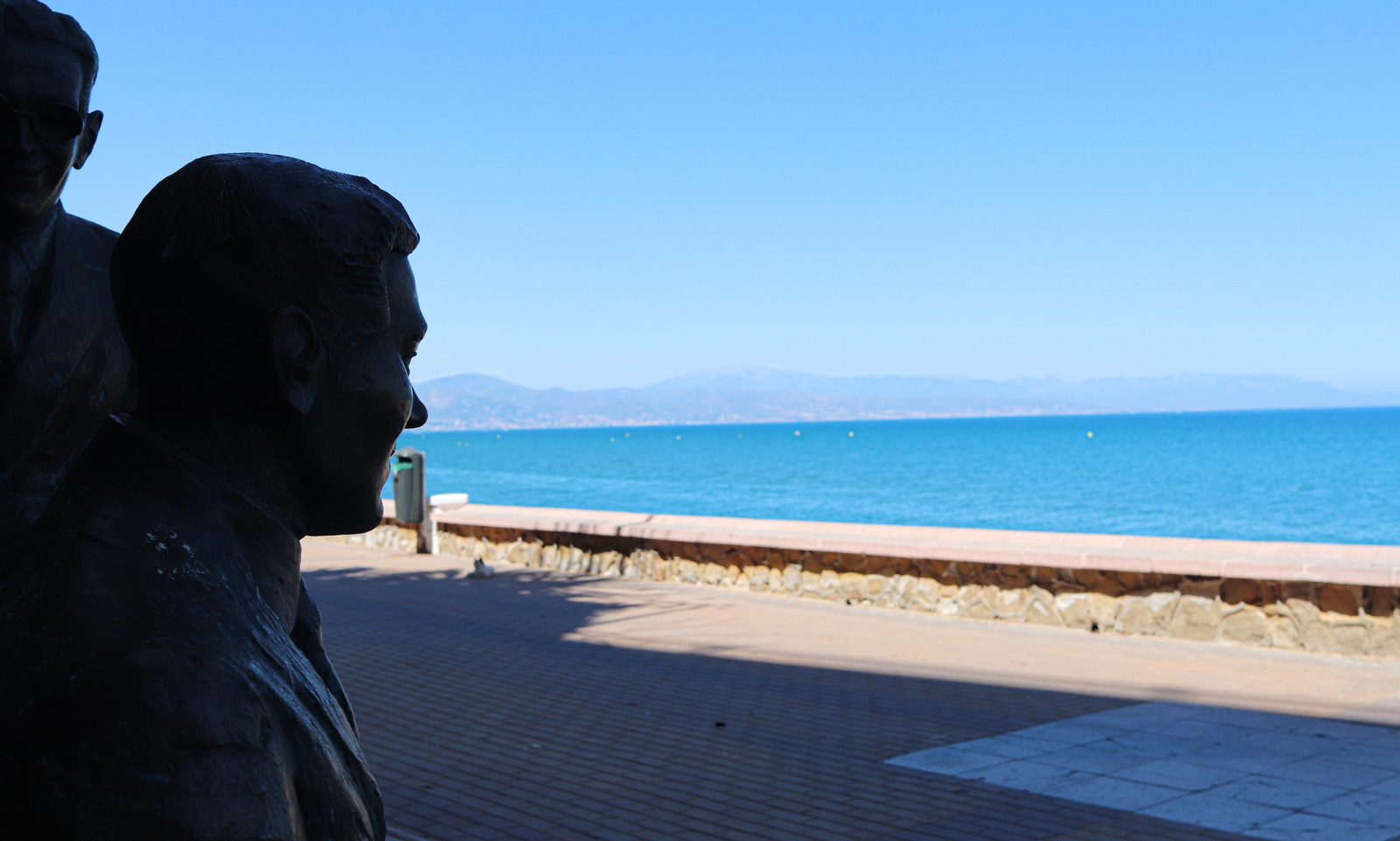 Los nuevos inquilinos en la punta de los gatos de Torremolinos