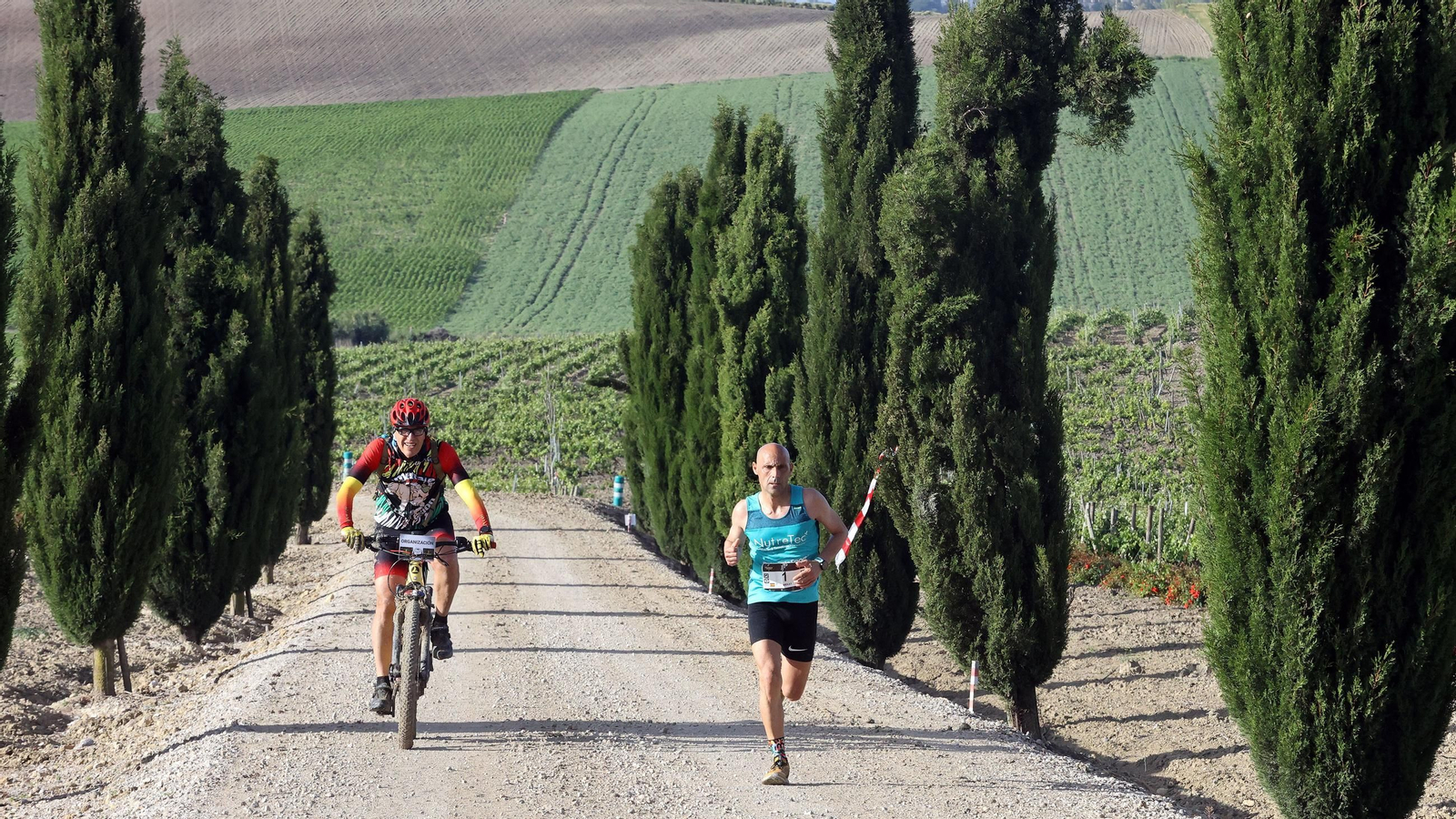 Búscate en la Sherry Maratón 2025 de Jerez (I)