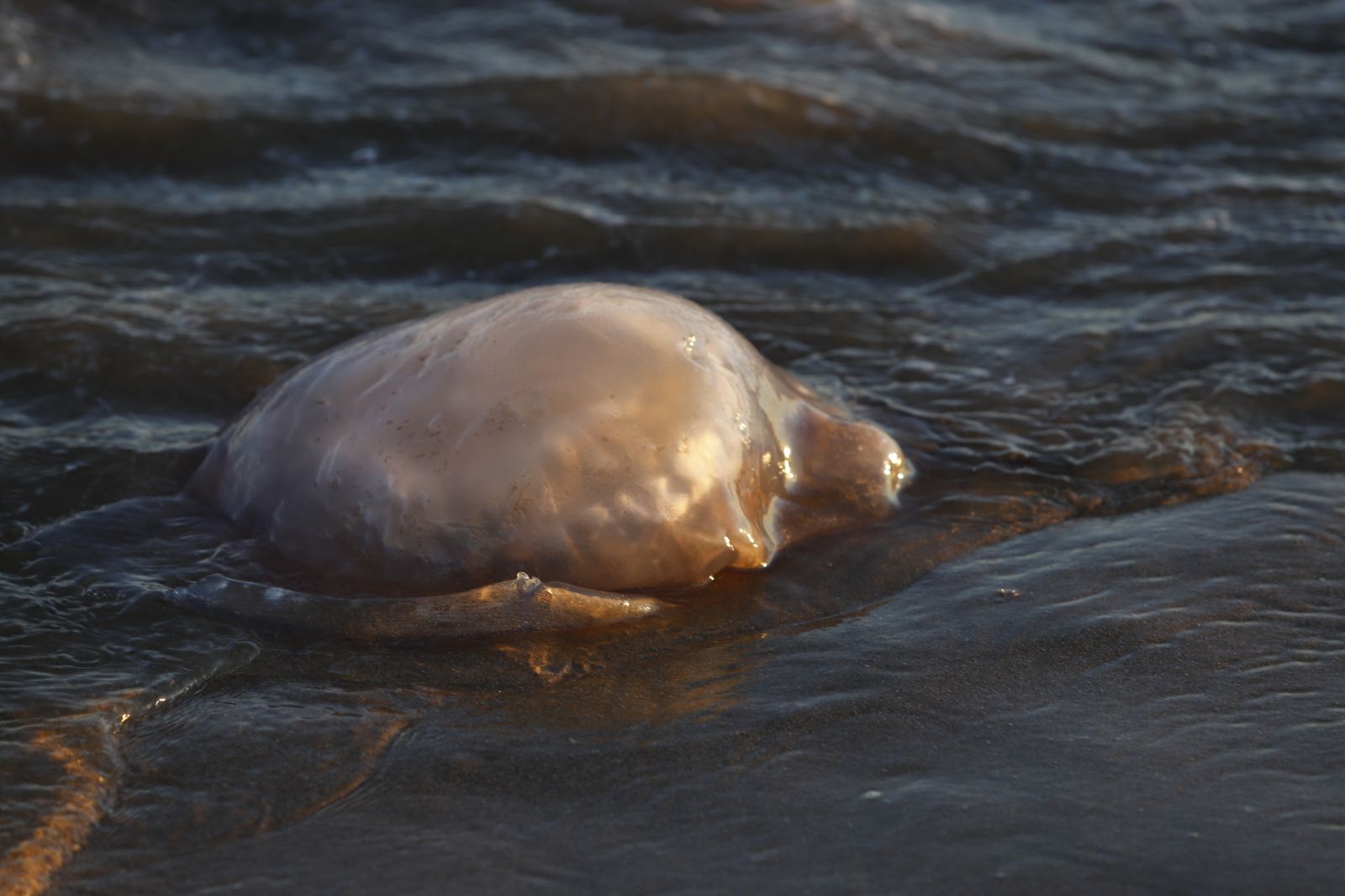 Las imágenes más destacadas del martes 11 de julio en Huelva