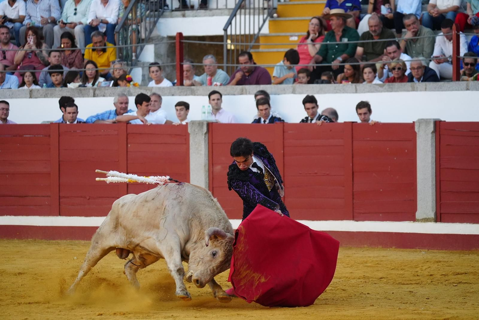 Las fotos del triunfo de Manuel Quintana en la feria taurina de Pozoblanco