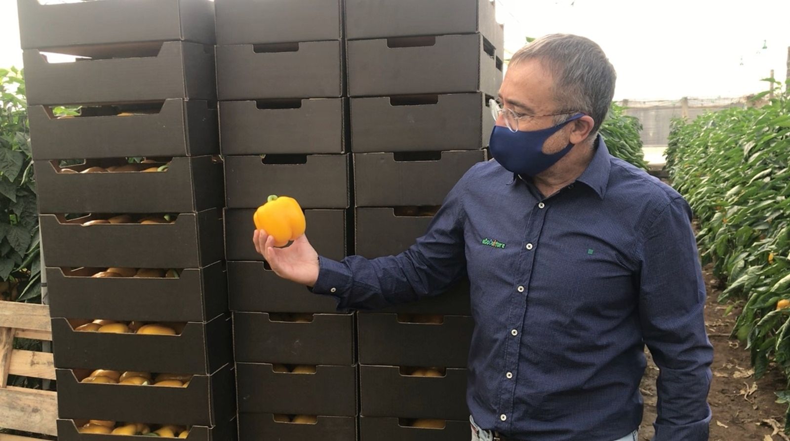 Javier González, técnico de Ecoculture