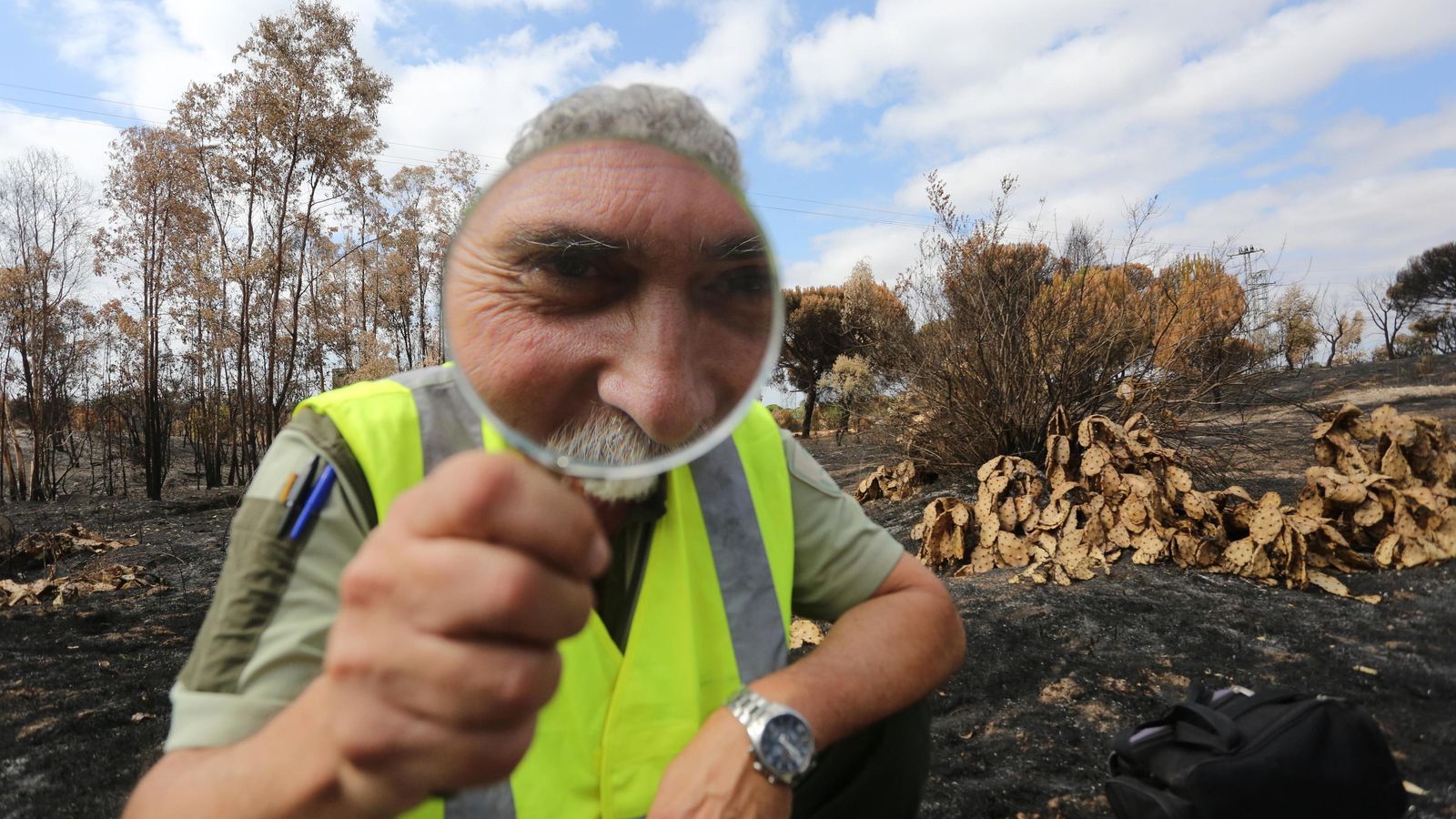 La Brigada de Investigación de Incendios de Huelva