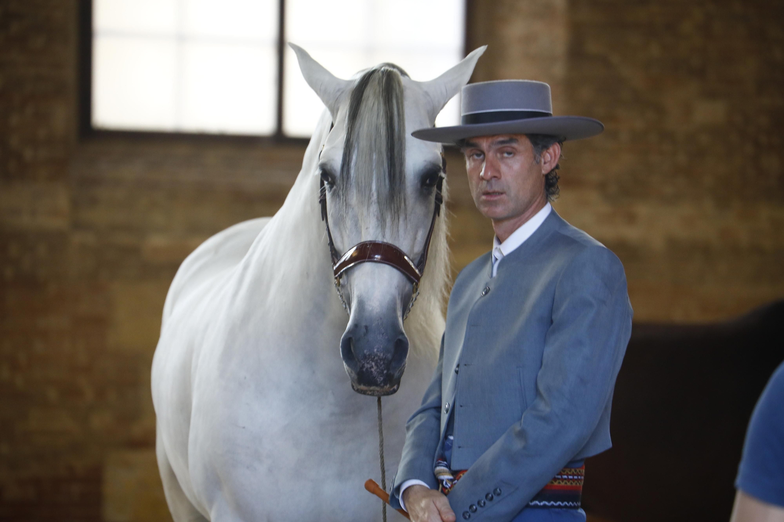 El concurso morfológico de caballos de pura raza de Cabalcor, en fotografías
