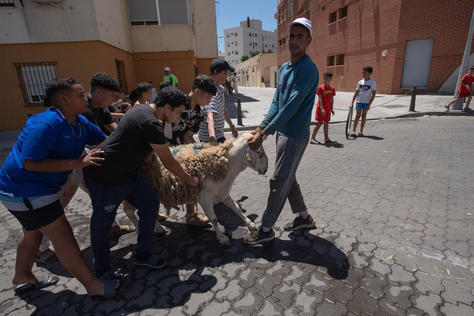 Varias personas sujetan a un cordero durante el Eid al-Adha de 2025 en Ceuta.
