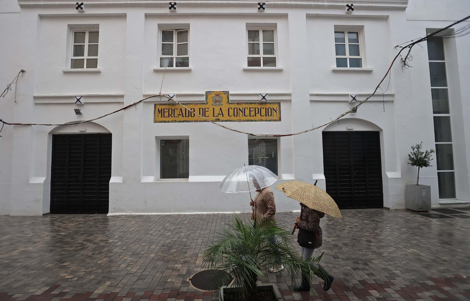 El mercado de La Línea, pendiente de apertura.