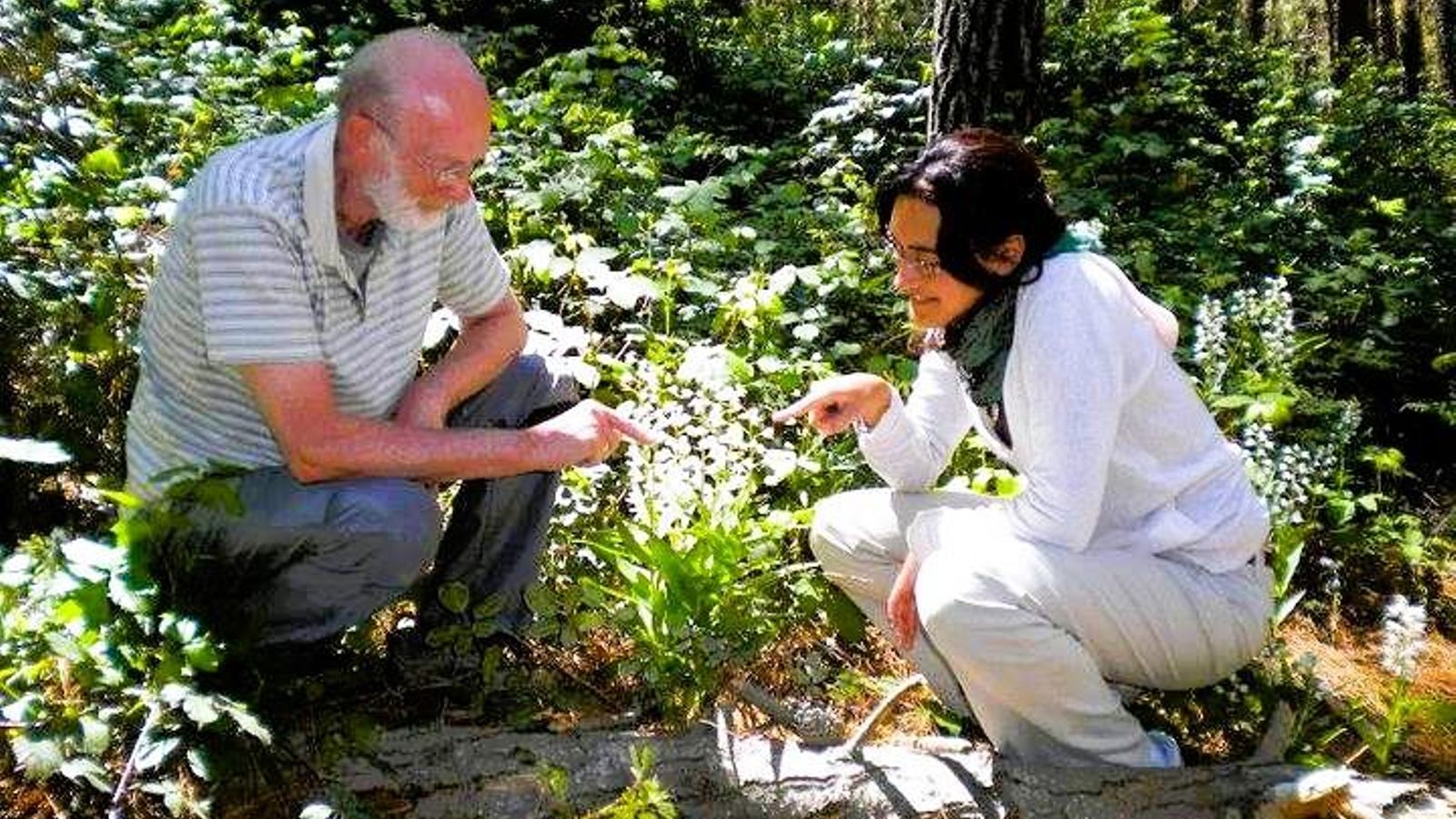 El botánico Ivo Antoniessen en Sierra Blanca El botánico Ivo Antoniessen en Sierra Blanca