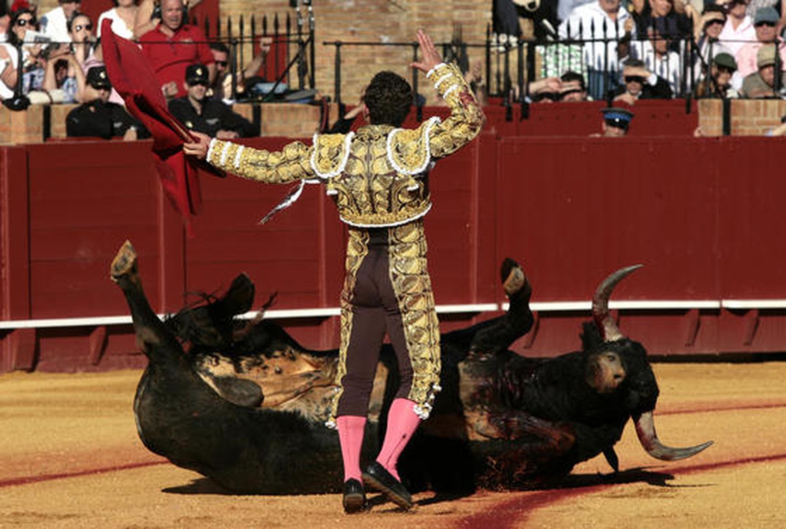 El diestro mira a la grada, mientras el toro yace en el albero de la Maestranza.

Foto: Juan Carlos Muñoz