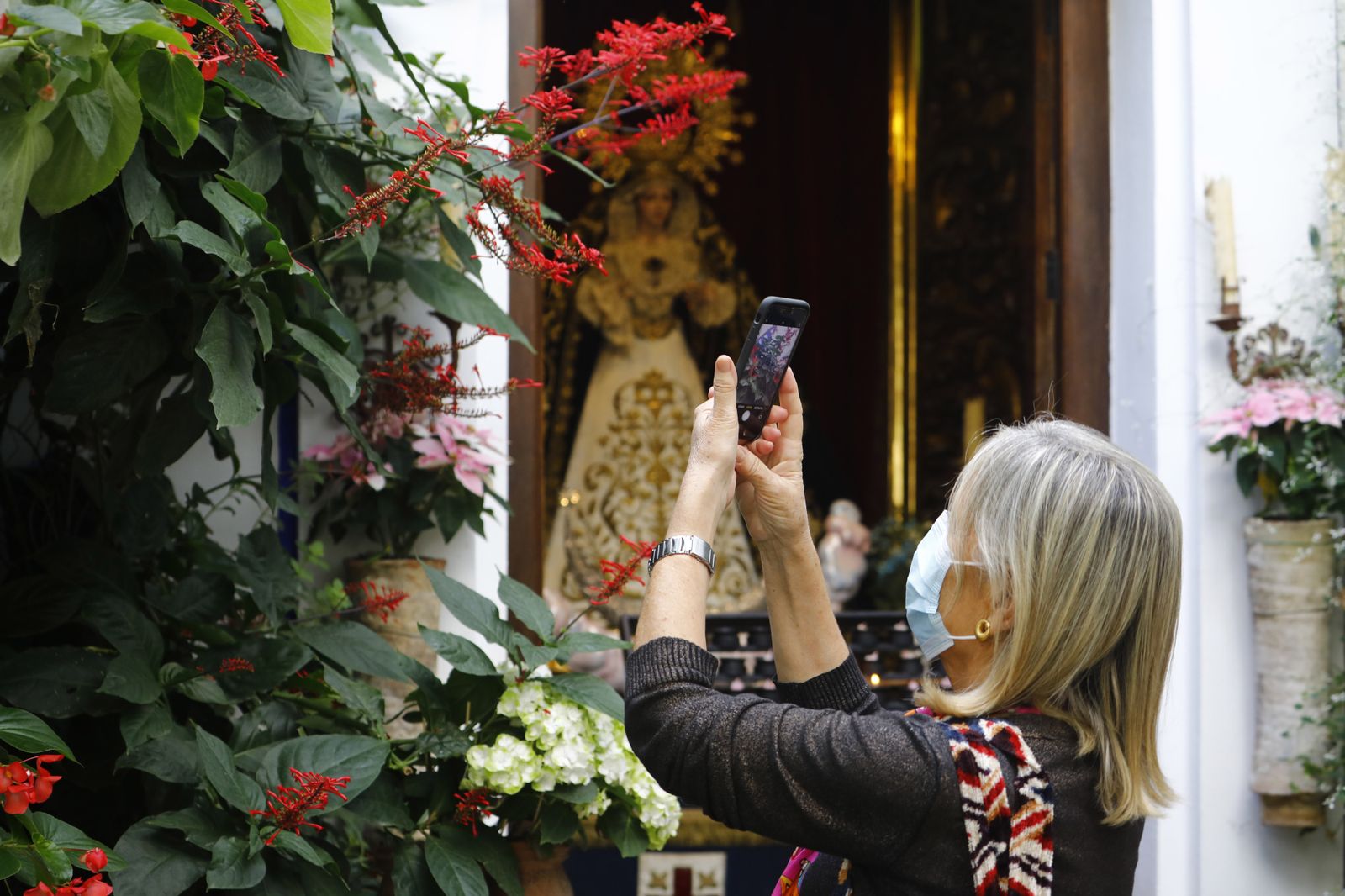 Un recorrido en fotografías por los Patios de Córdoba un domingo de otoño
