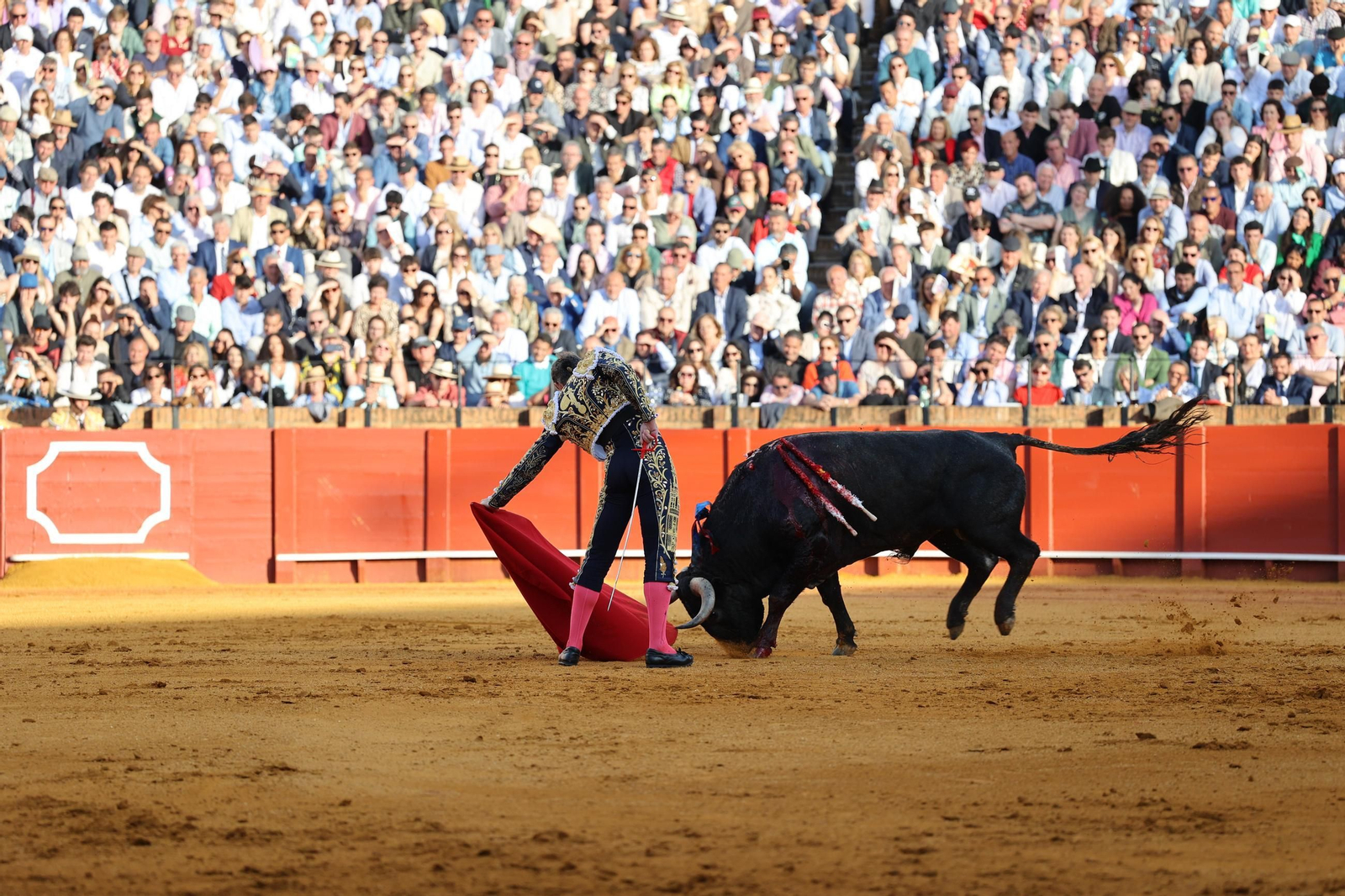 Las imágenes de la corrida de toros