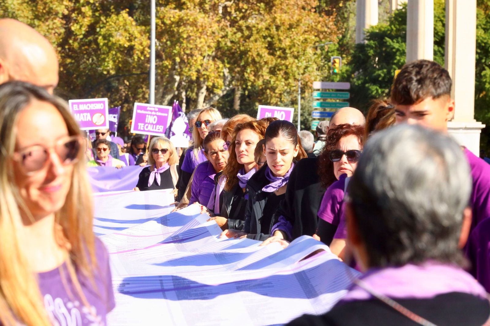 Manifestación del 25-N en Málaga.