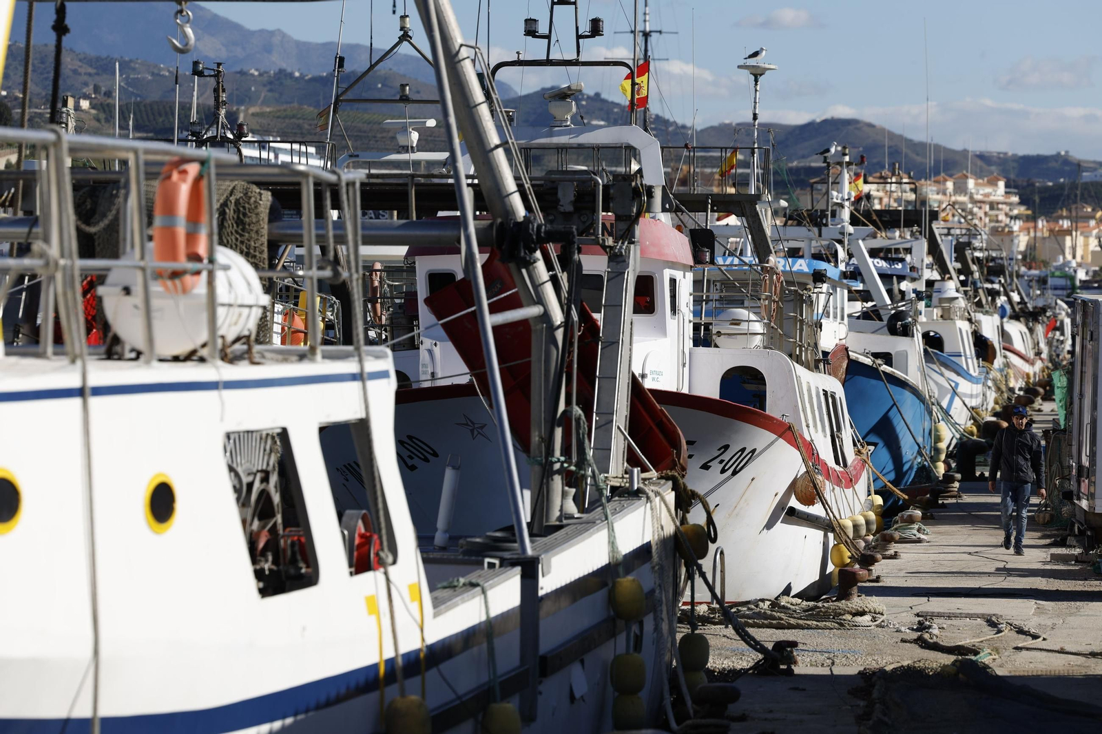 Barcos de arrastre amarrados en Caleta de Vélez este martes. Barcos de arrastre amarrados en Caleta de Vélez este martes.