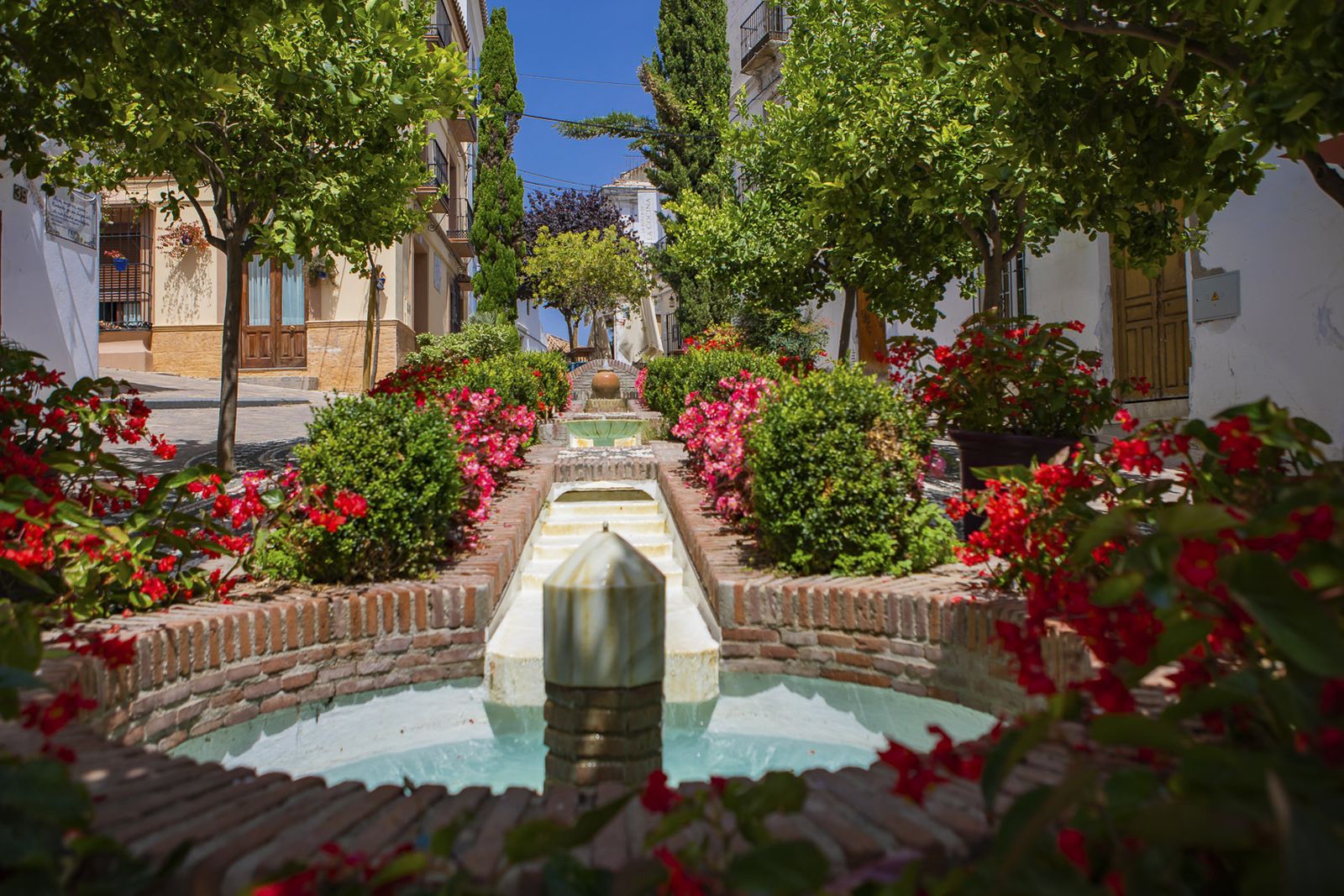 El ‘Plan Árbol’ se implementa en la ciudad desde el año 2012.