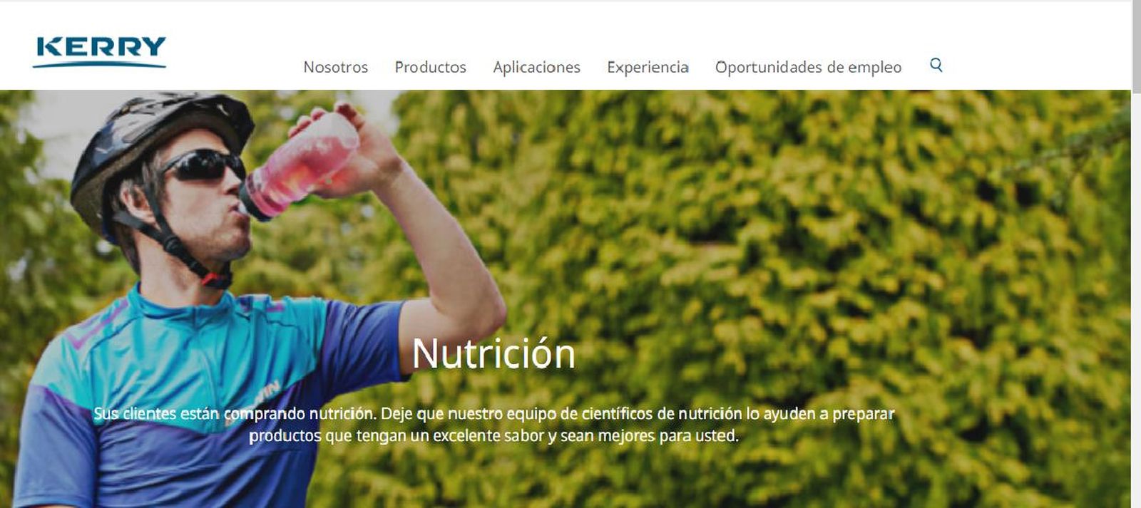 Web del grupo irlandés Kerry.