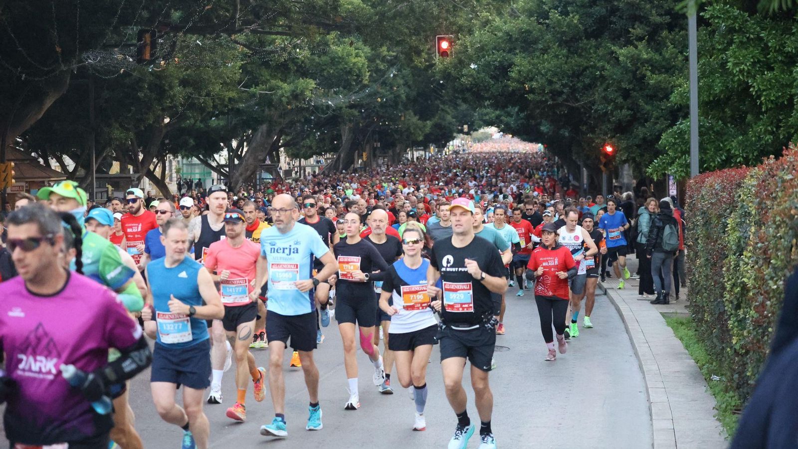 Las mejores fotos de la Maratón de Málaga 2024