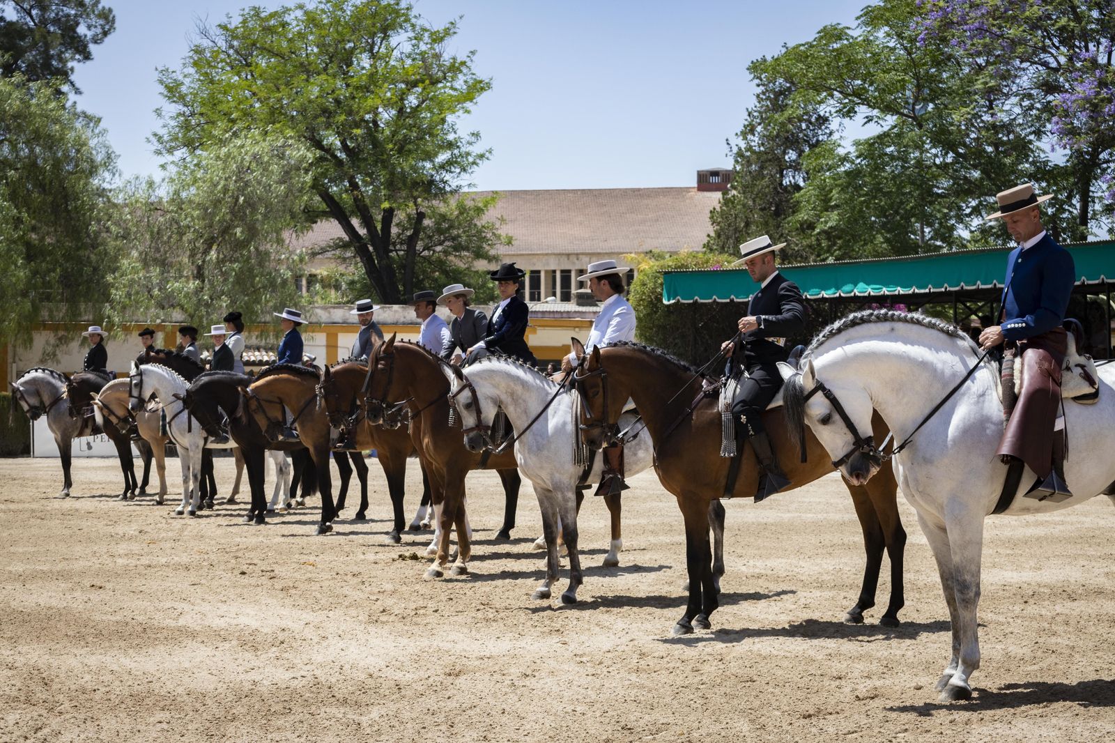 Belén Bautista recibe en Sementales el Caballo de Oro 2022