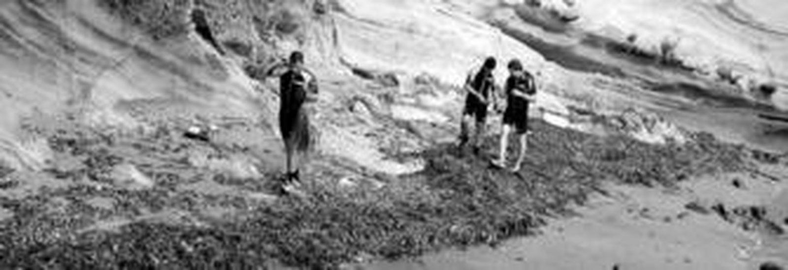 Los tres expertos marinos contabilizaron algunas de las lapas gigantes del Mediterráneo y recogieron algas laminarias para examinarlas.