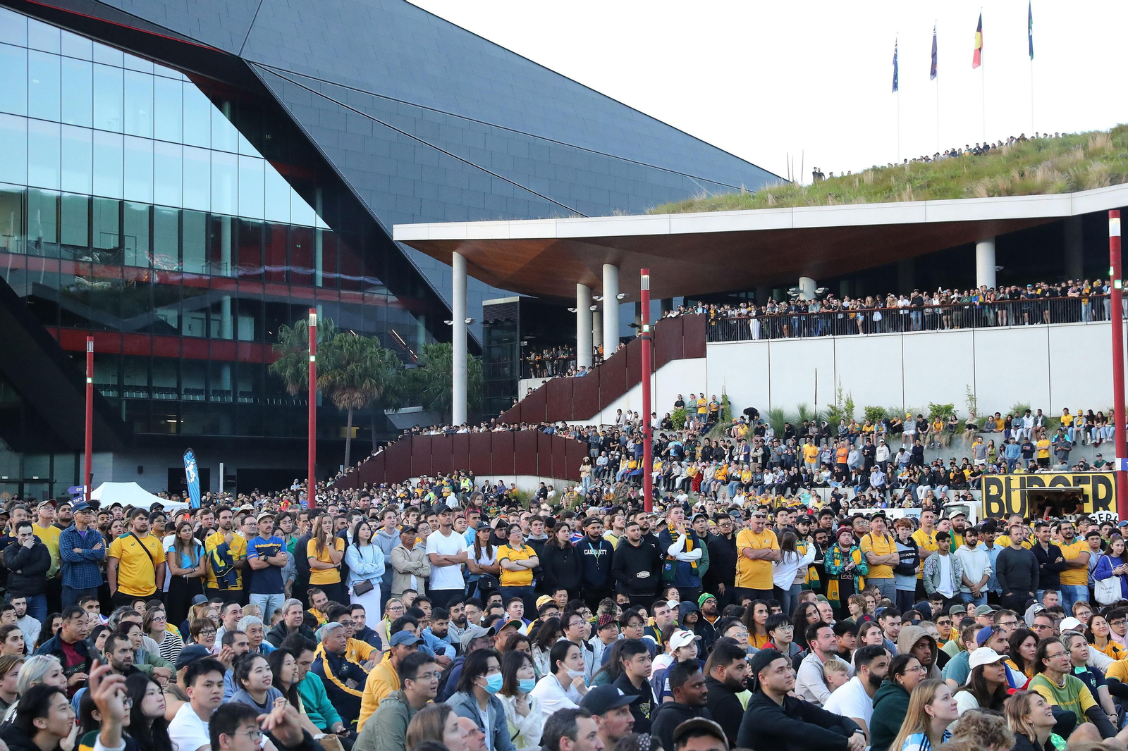 Las fotos del Argentina - Australia