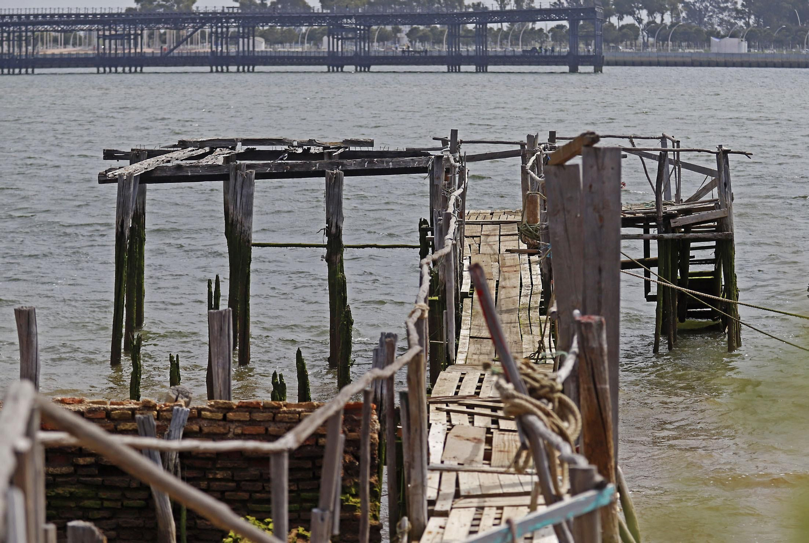 Paraje natural Marismas del Odiel, paraíso de Huelva entre salinas
