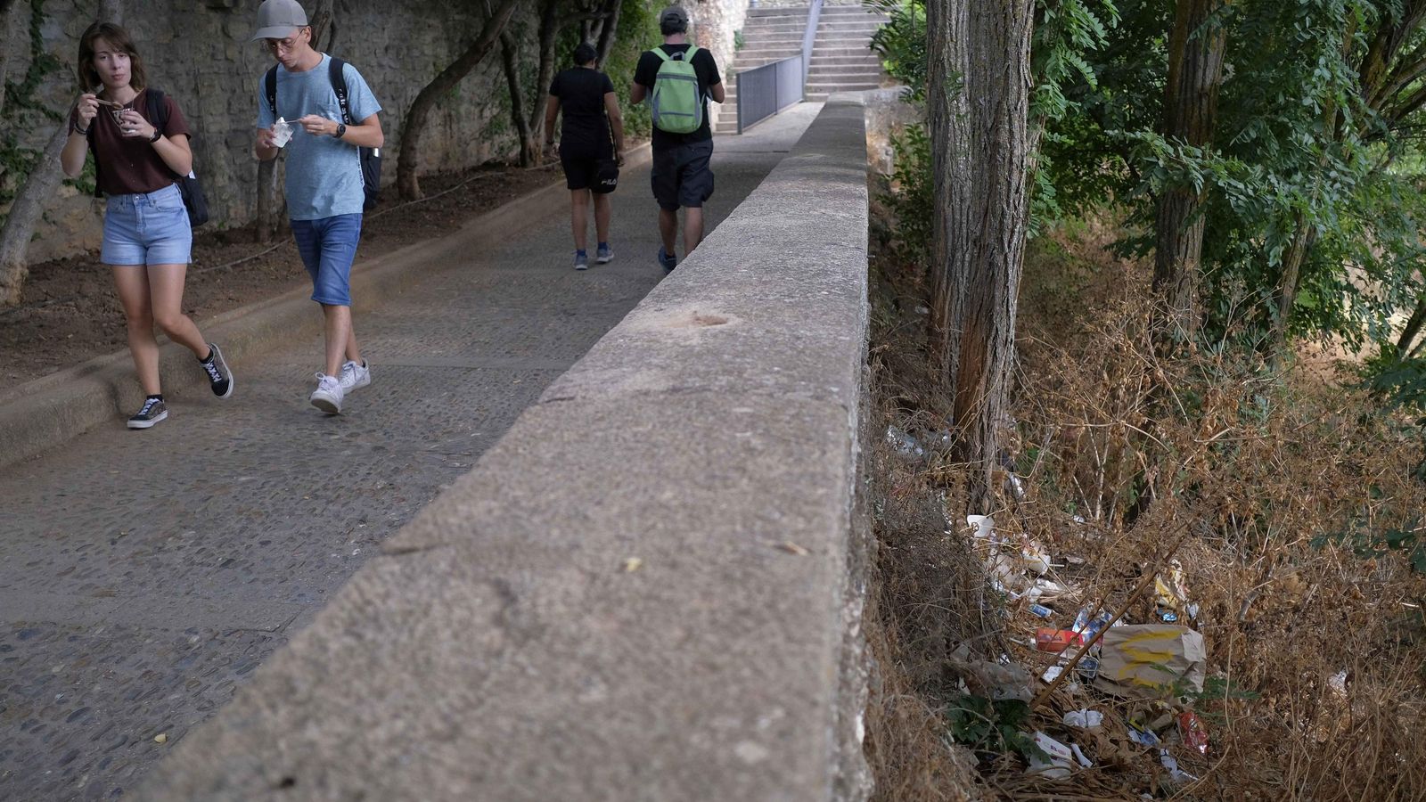 Los restos de comida humana de diverso tipo se acumulan en las cornisas.