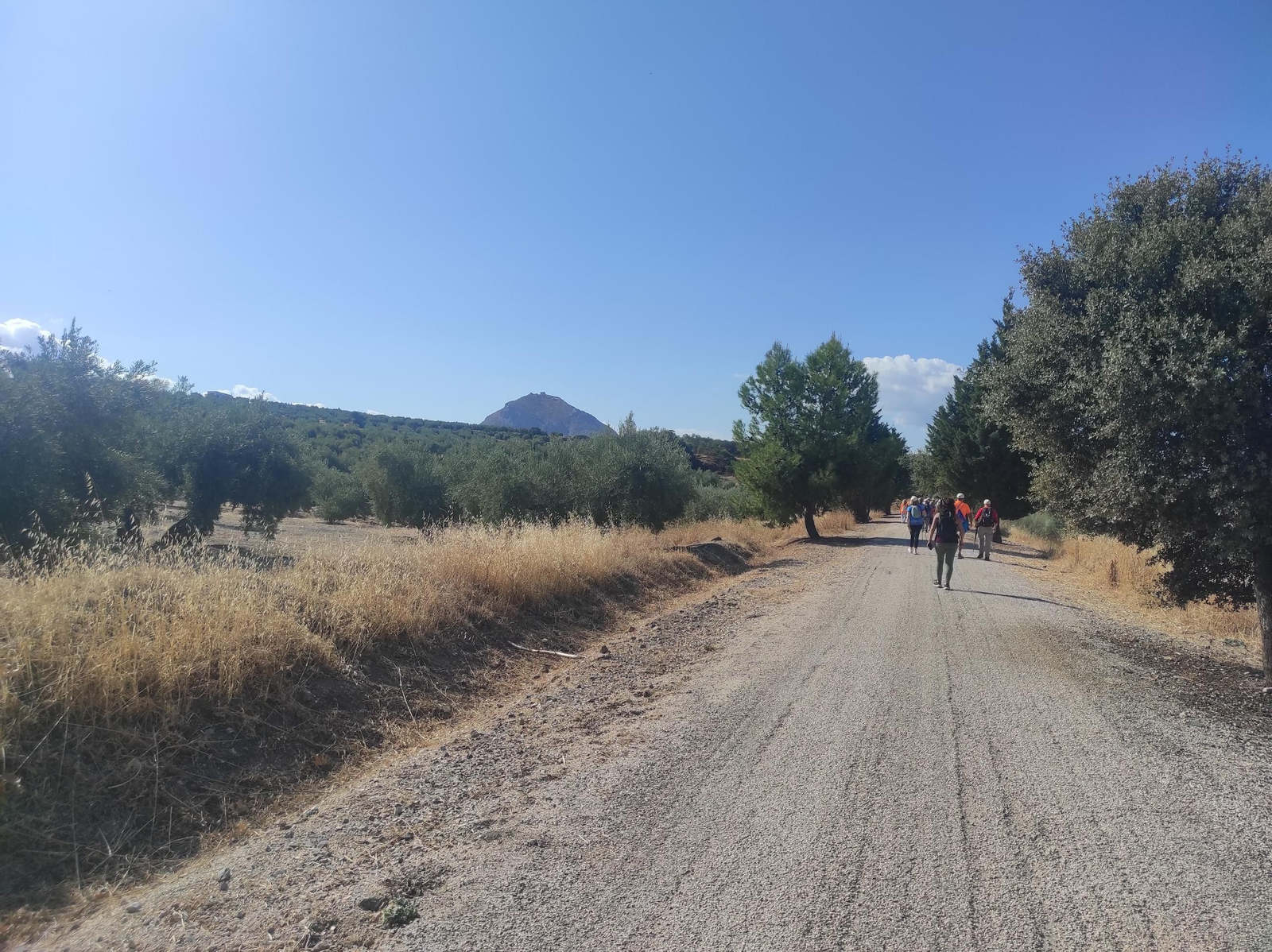 De Torredelcampo a Porcuna por la Vía Verde del Aceite: túneles, pasarelas y arte