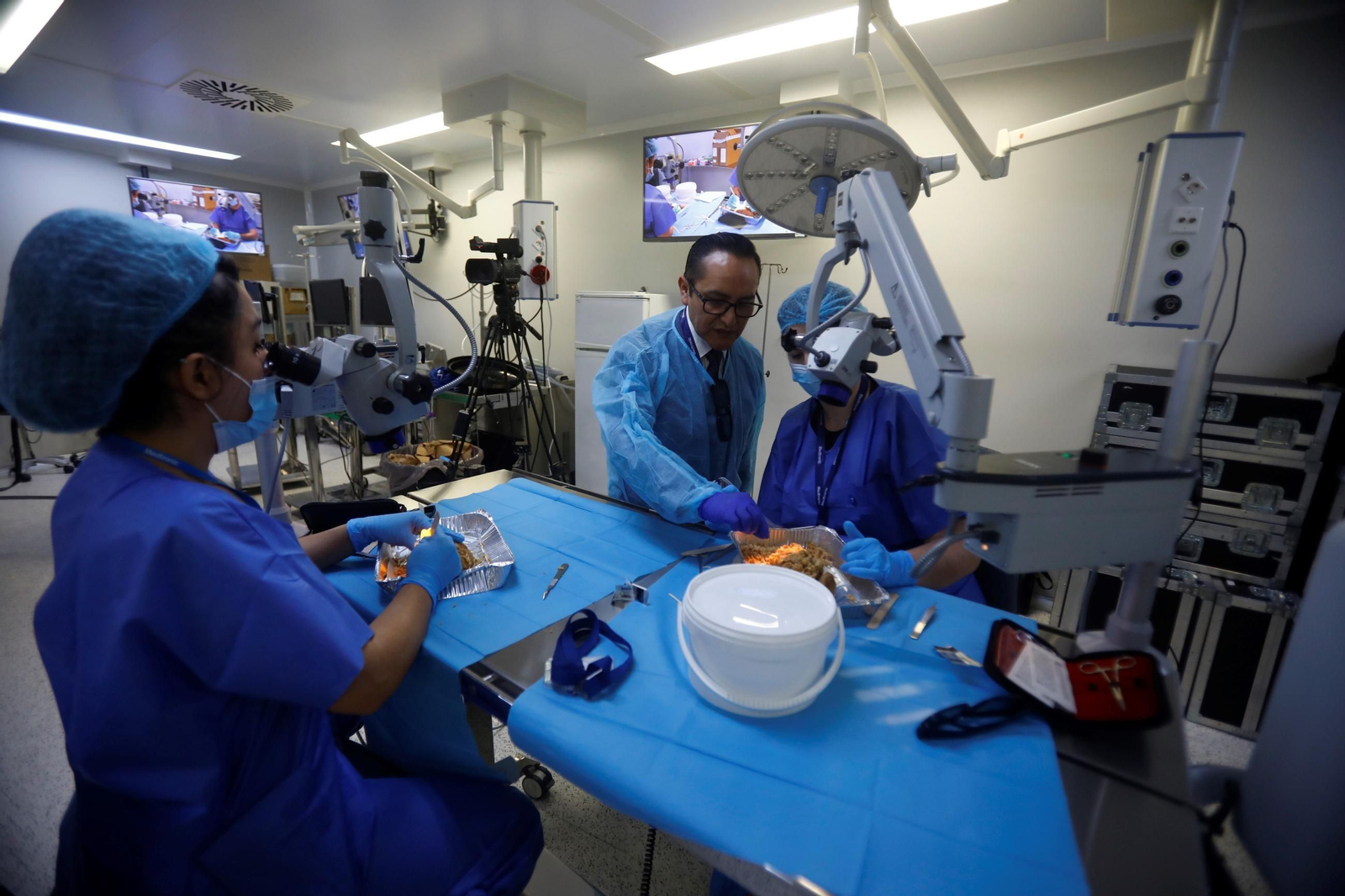 El curso en el que neurocirujanos del Hospital Reina Sofía estudian el cerebro, en imágenes