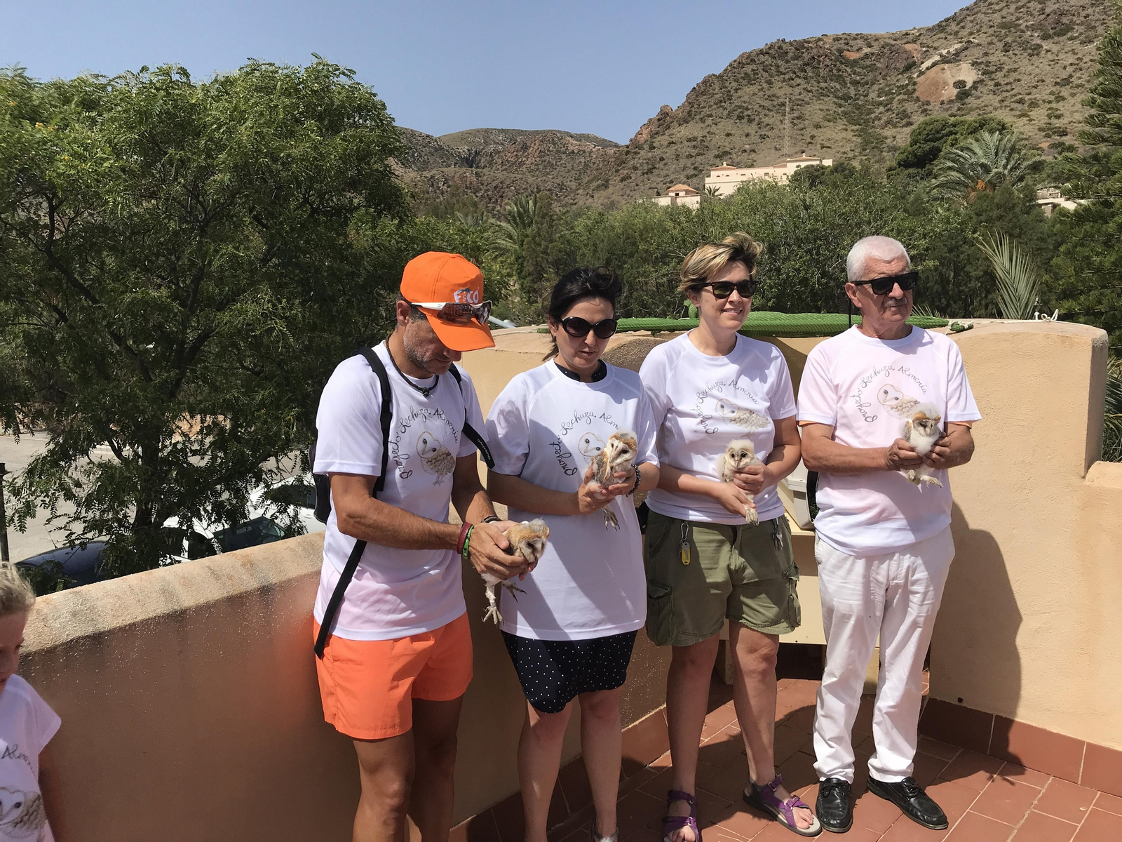 Fotogalería de las nuevas crías de lechuza en Rodalquilar