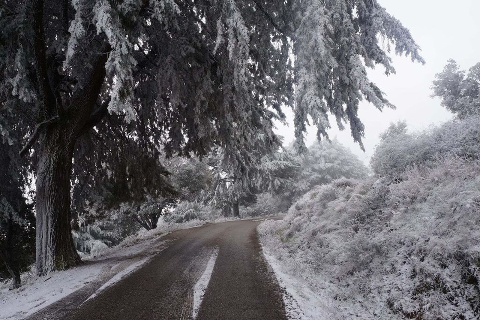 La Sierra de Aracena completamente nevada: dos años después de Filomena