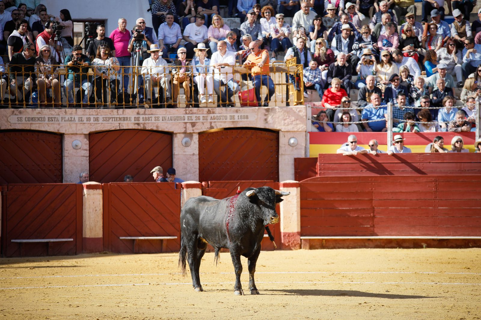 Imágenes del festival mixto lucha contra el cáncer