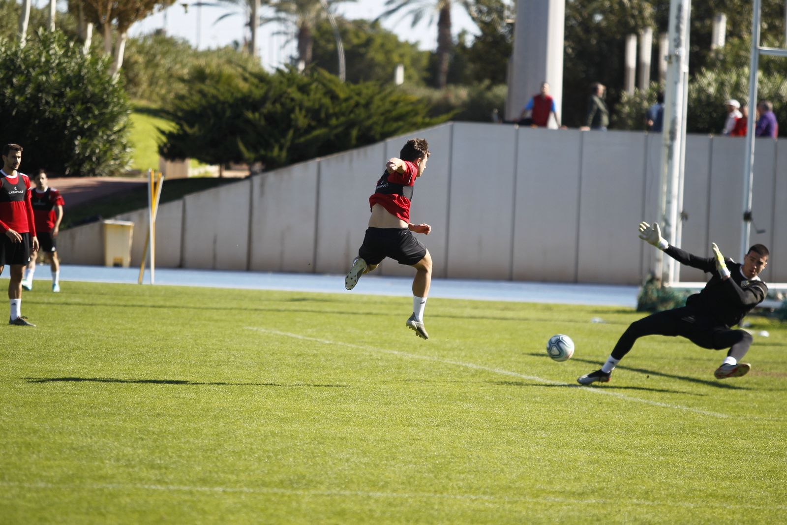 Fotogalería del entrenamiento del Almería 7-XI