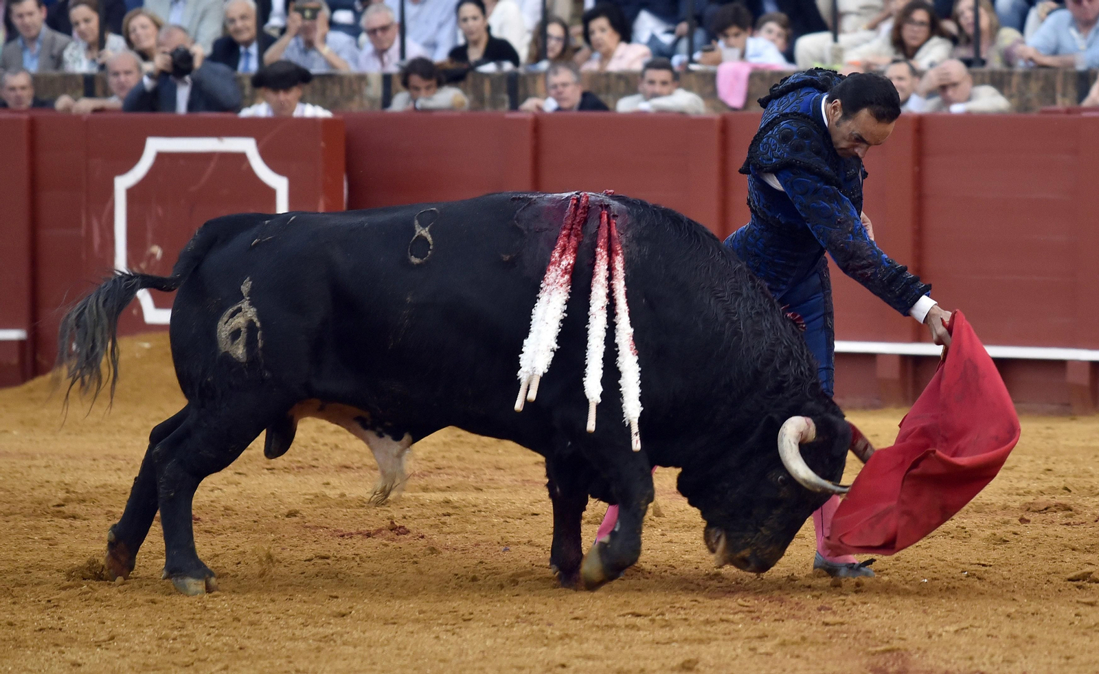 Las imágenes de la segunda de abono de la Maestranza