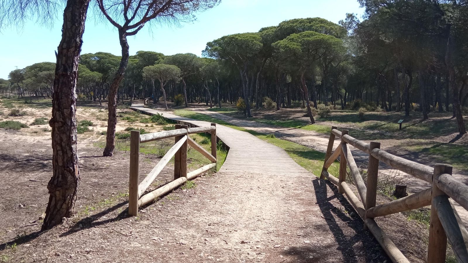 La coqueta pasarela de madera