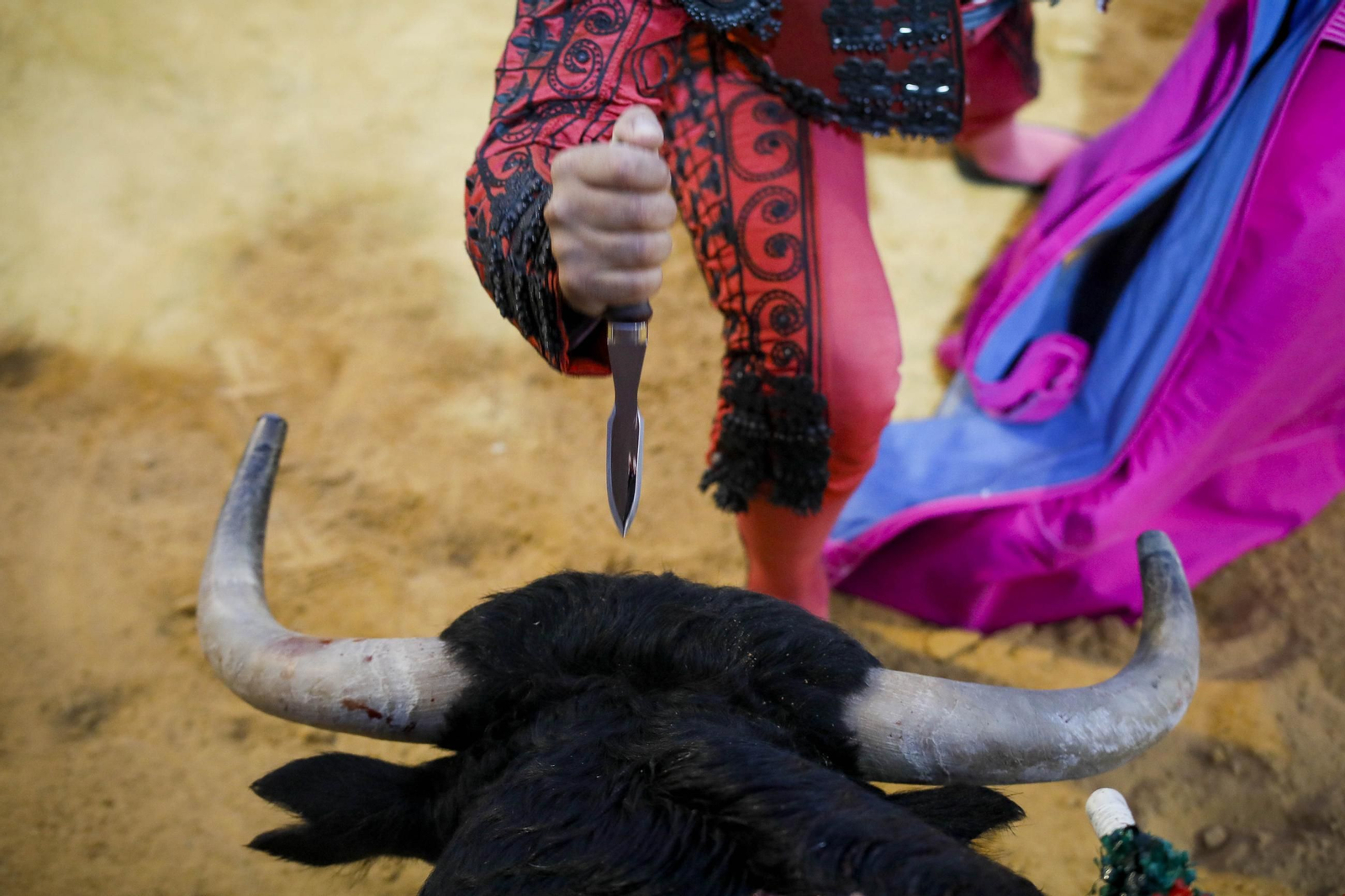 Corrida de toros Berja con un toro indultado, en imágenes
