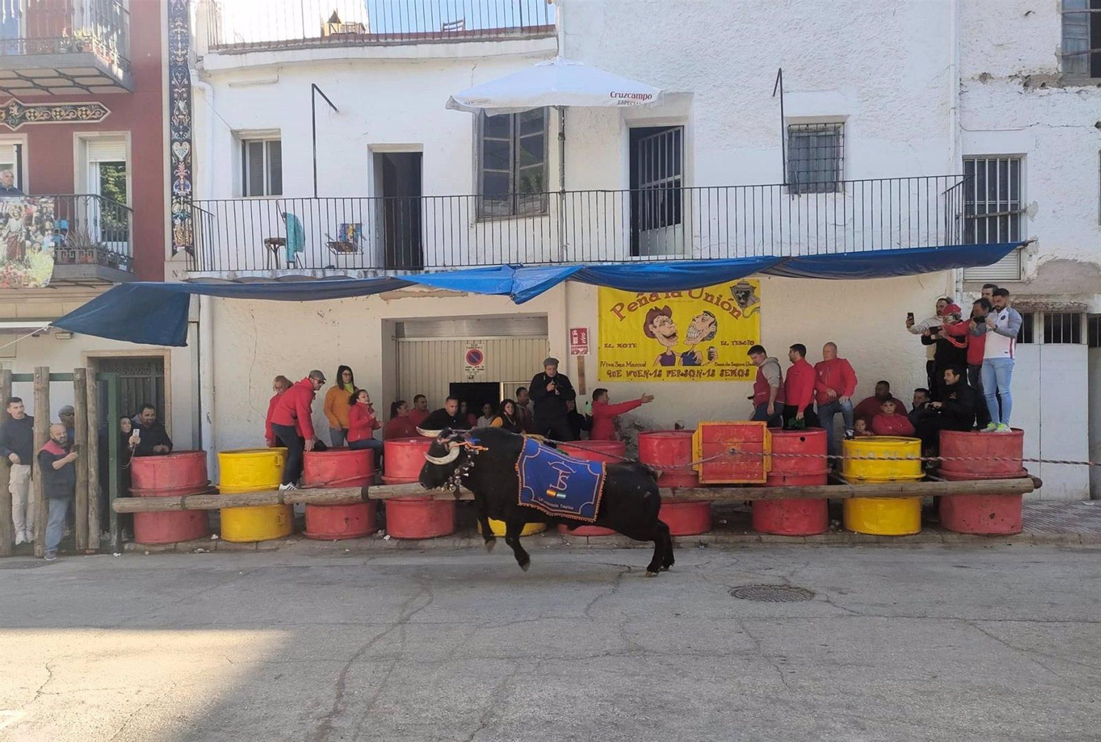 Carrera de un 'toro ensogao' tras ser engalanado.