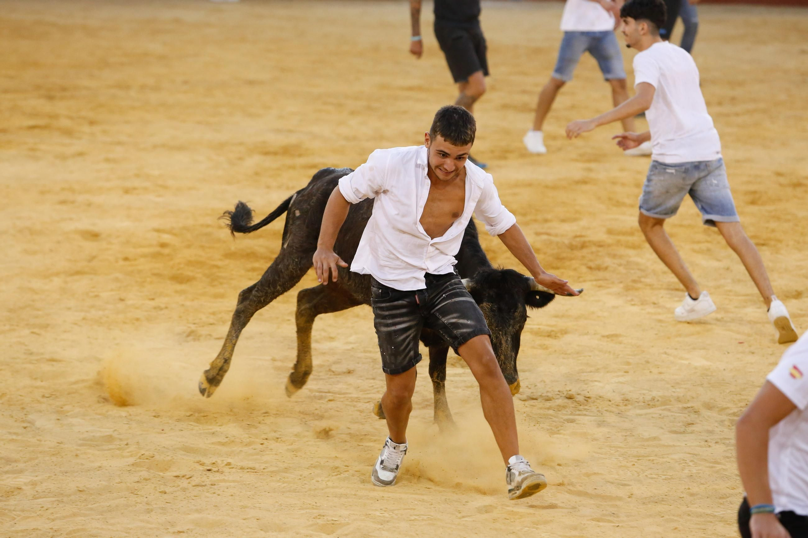 Fotos del Toro del Aguardiente en San Roque
