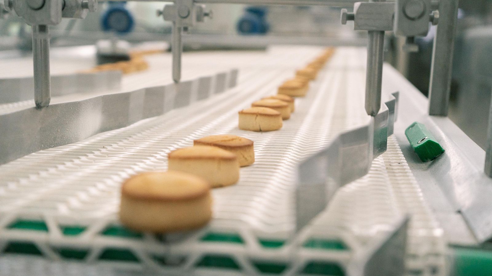 Mantecados en la línea de producción.