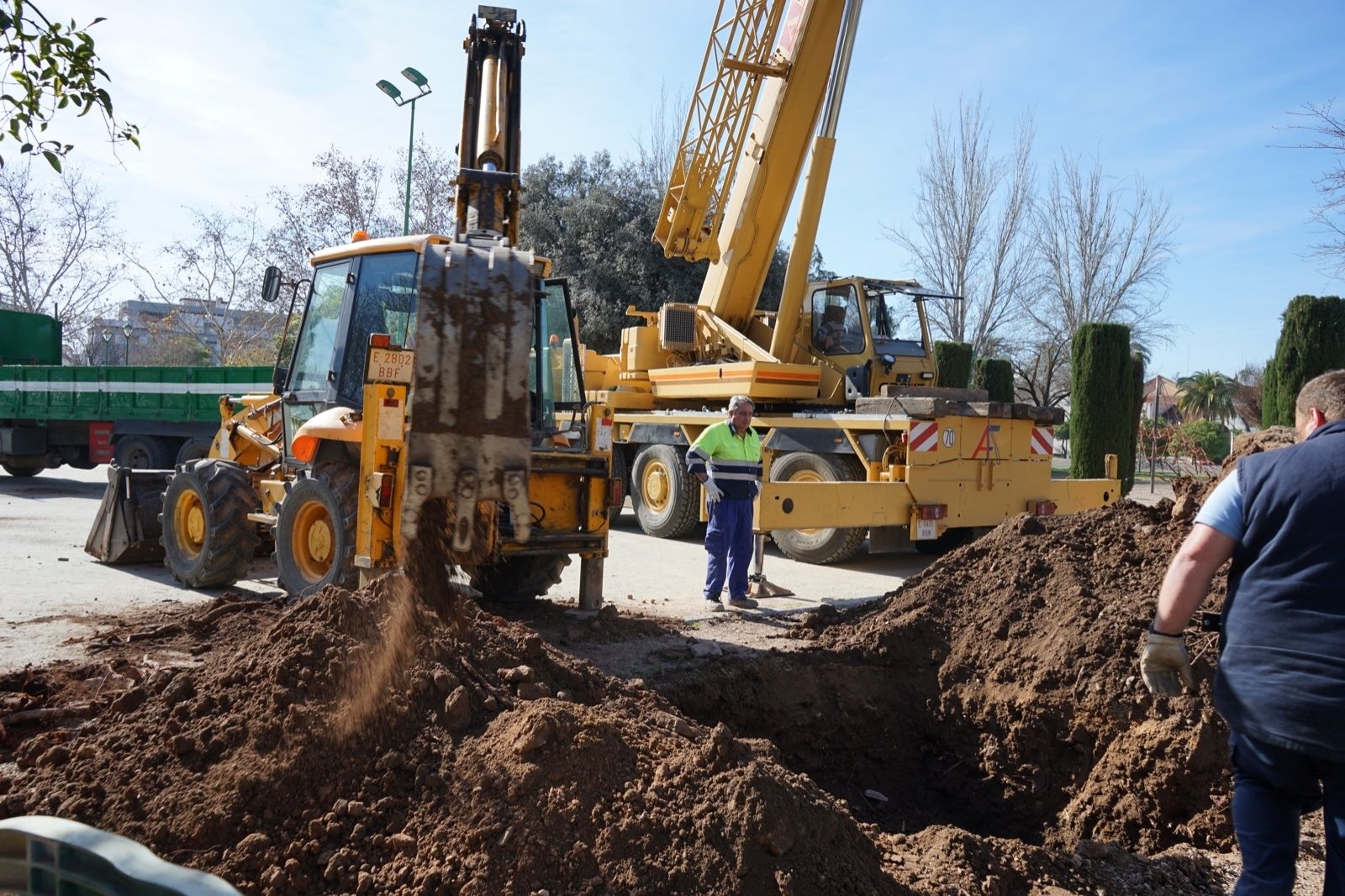 El trasplante del olmo centenario del Marrubial al parque de los Teletubbies de Córdoba, en imágenes