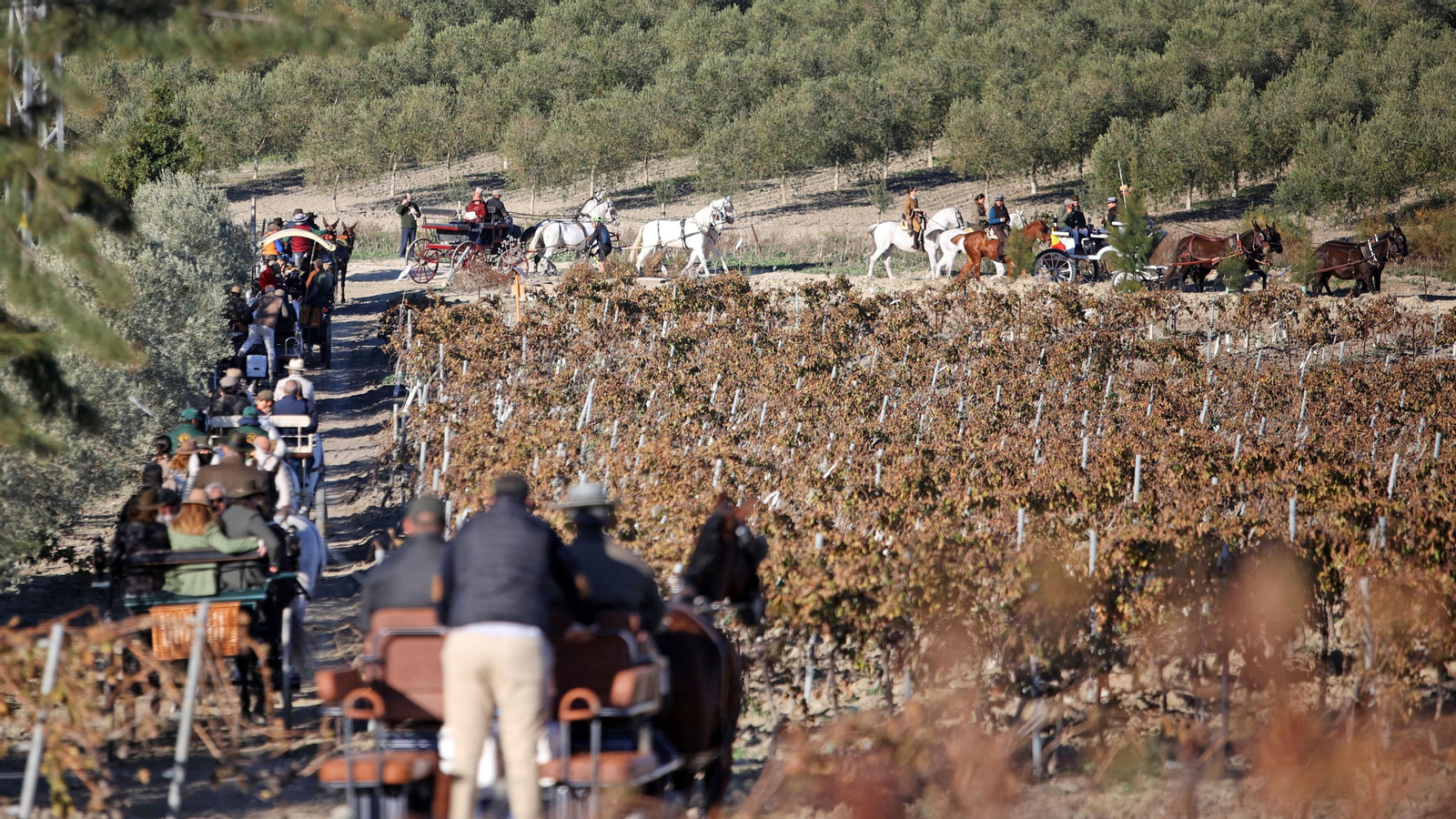 II Ruta Viñas de Jerez