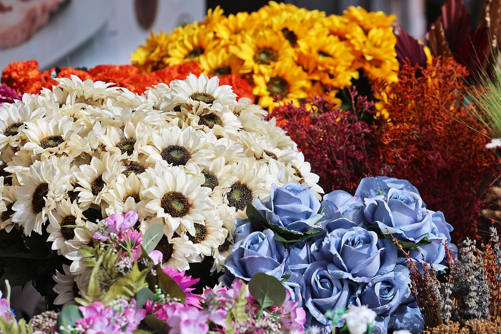 Las imágenes más destacadas del miércoles 25 de septiembre en Huelva