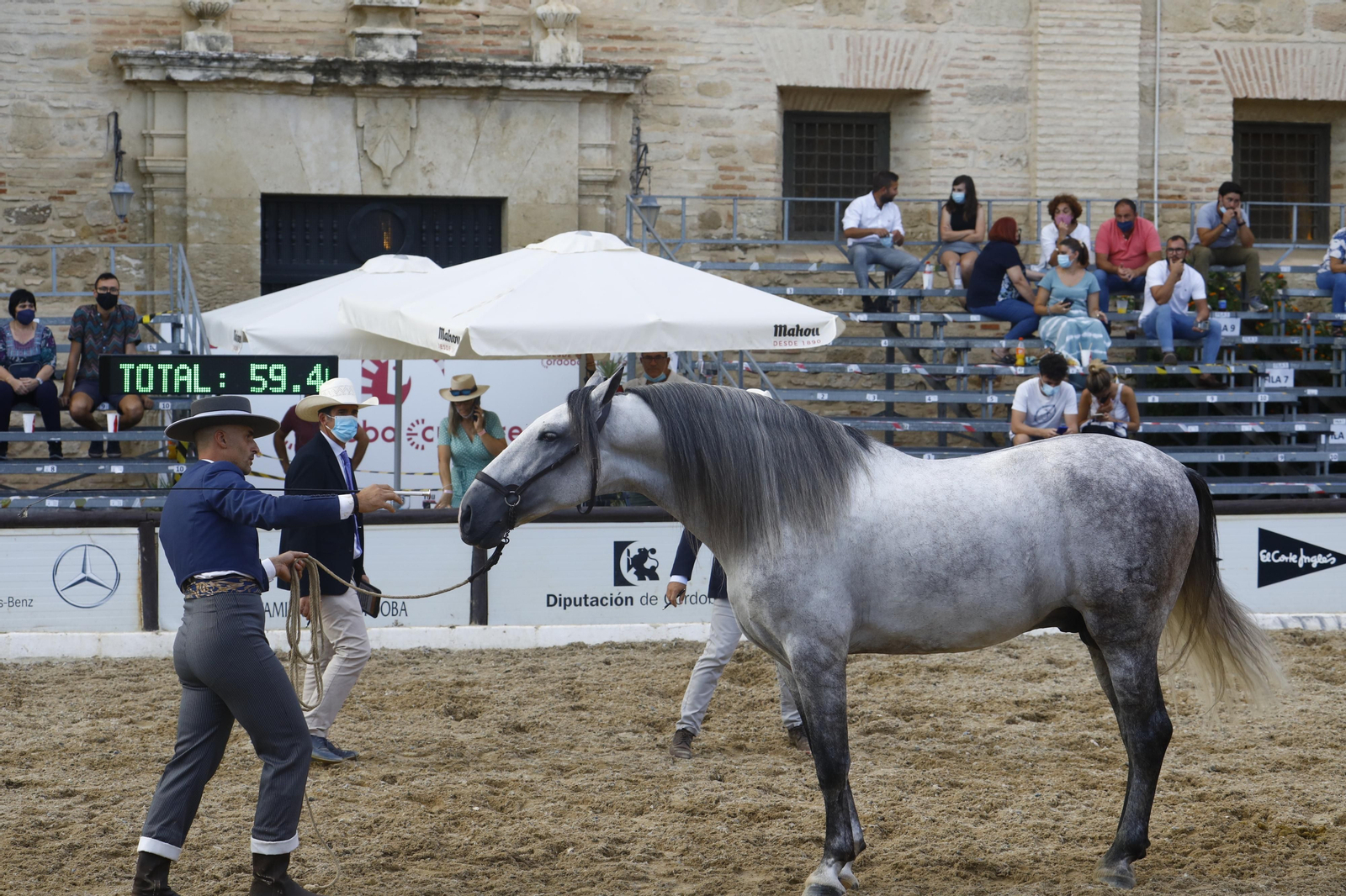El concurso morfológico de caballos de pura raza de Cabalcor, en fotografías