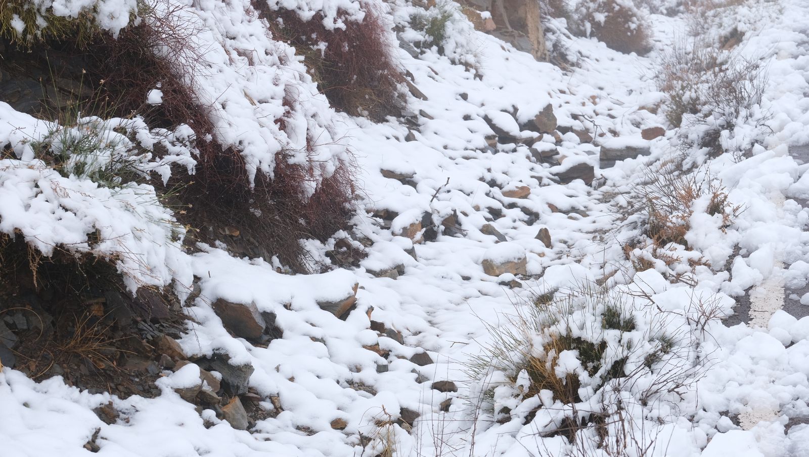 Fotogalería nevada en la Provincia de Almería