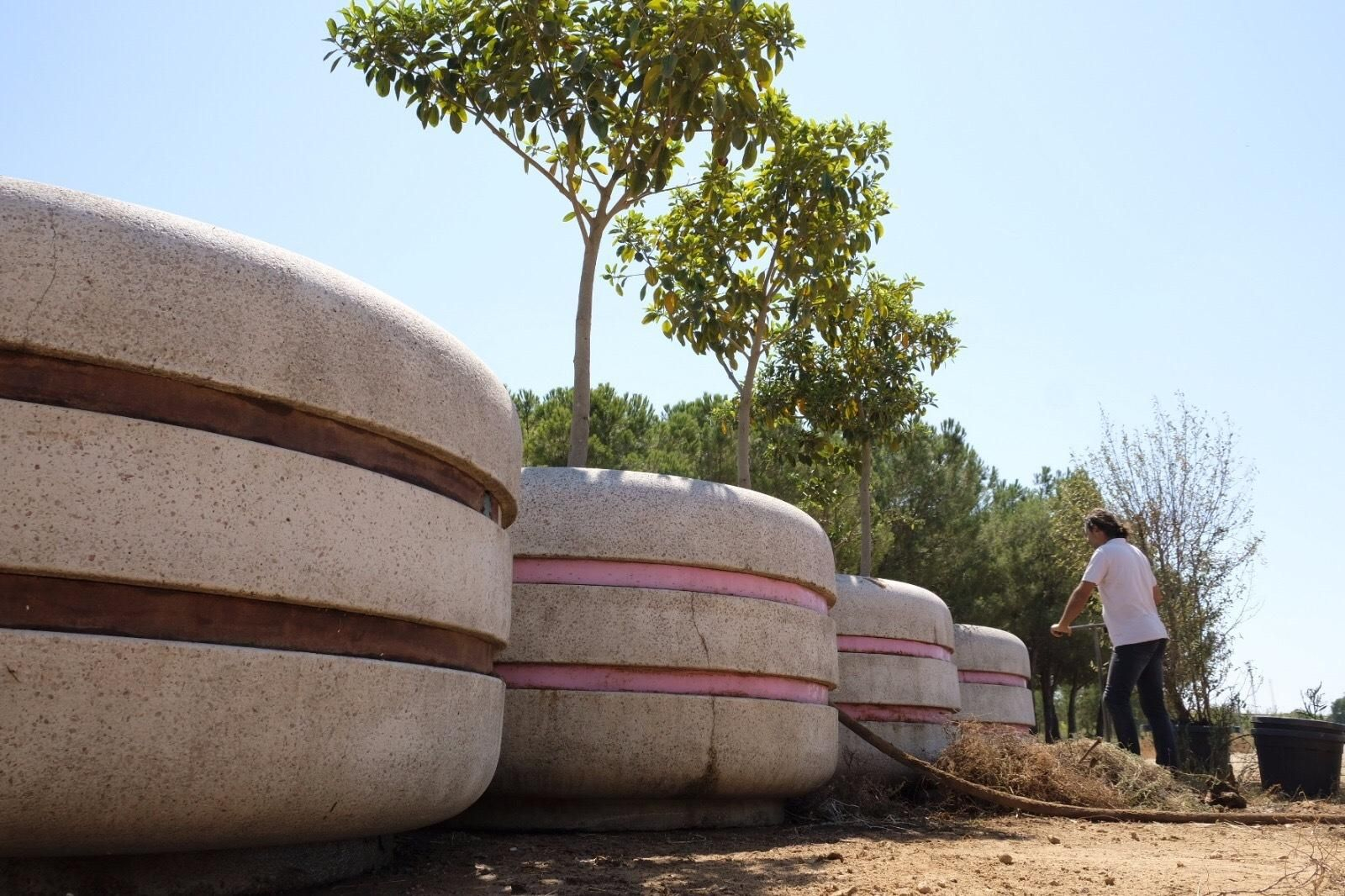 Preparación de los macetones en los viveros municipales.
