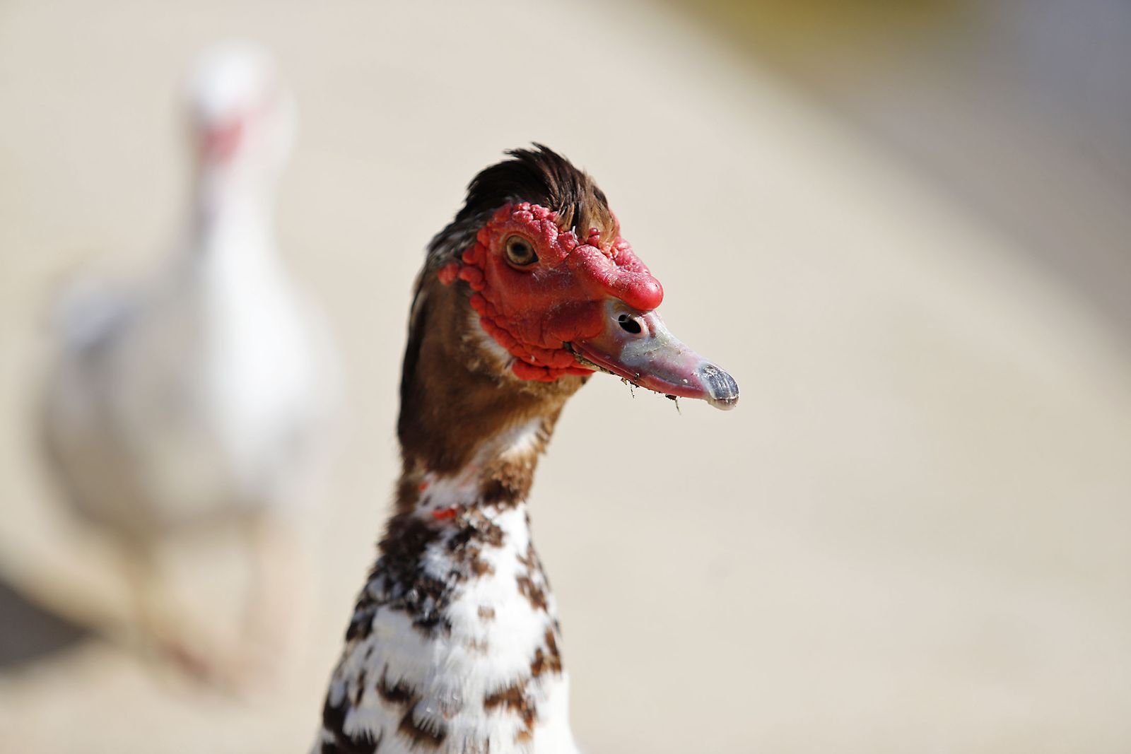 Las imágenes más destacadas del jueves 14 de septiembre en Huelva