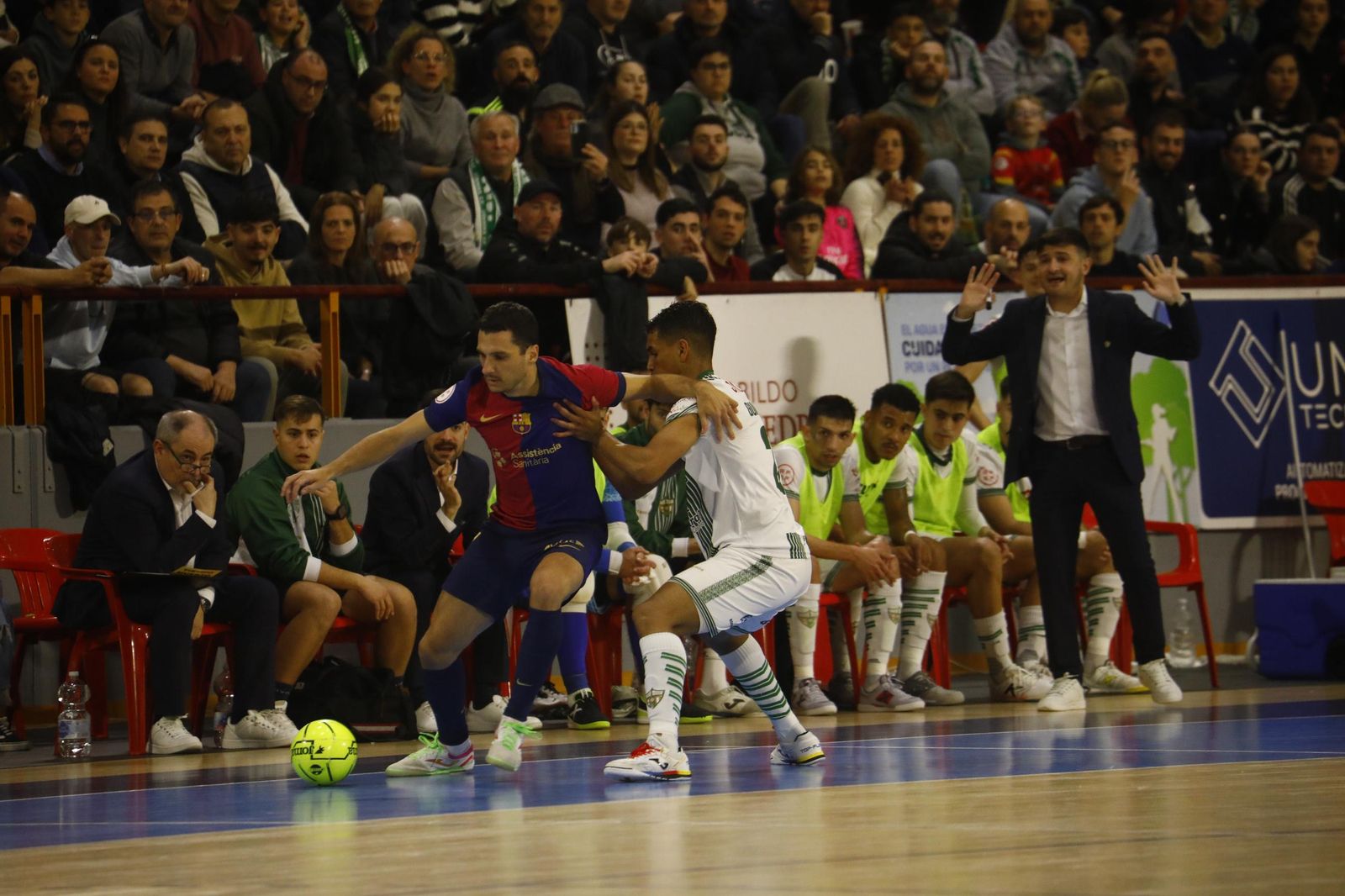 Las mejores fotos del ambiente en Vista Alegre para el Córdoba Futsal - Barça