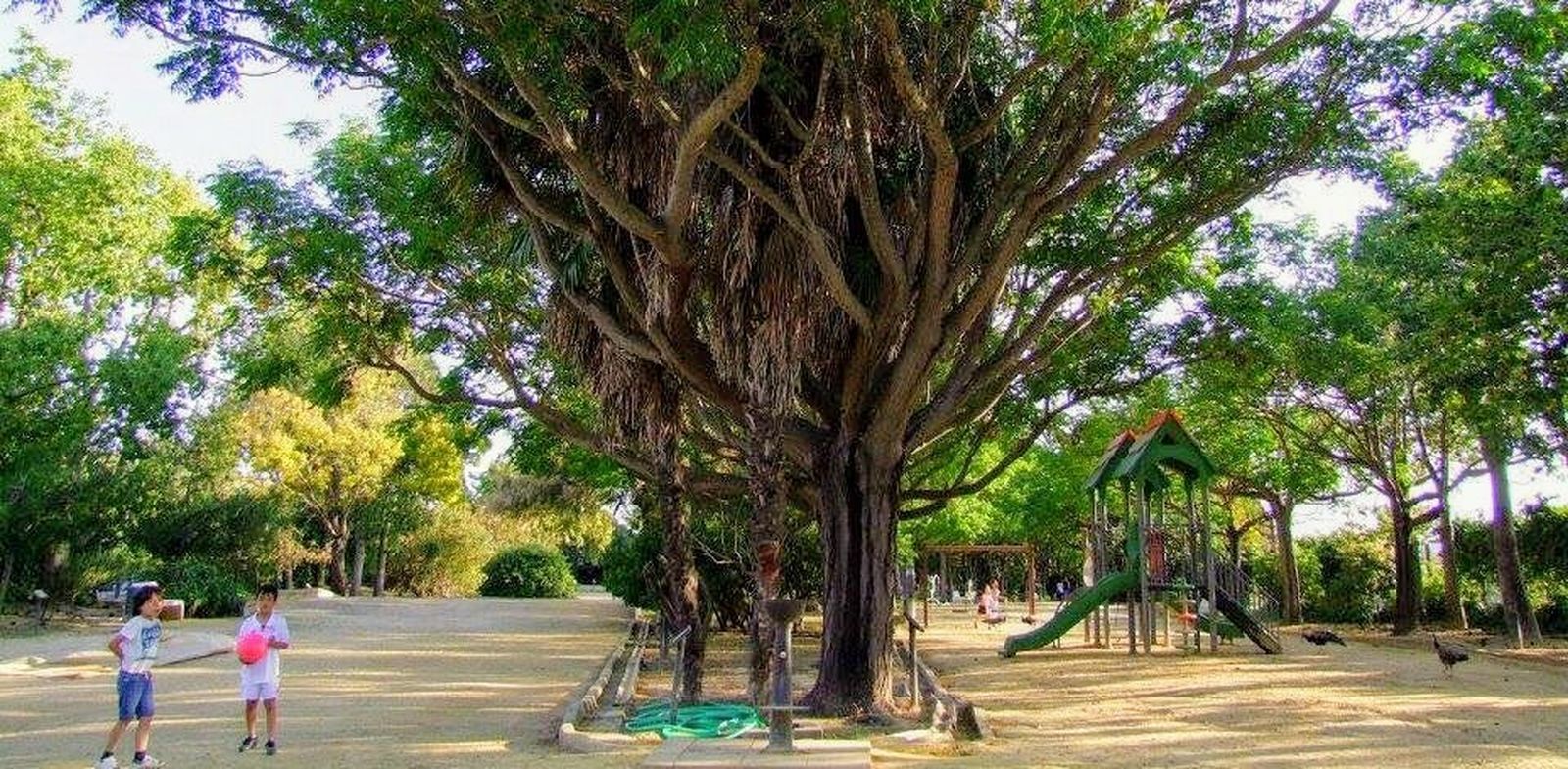 Una vista del parque La Toya, que es de propiedad municipal.