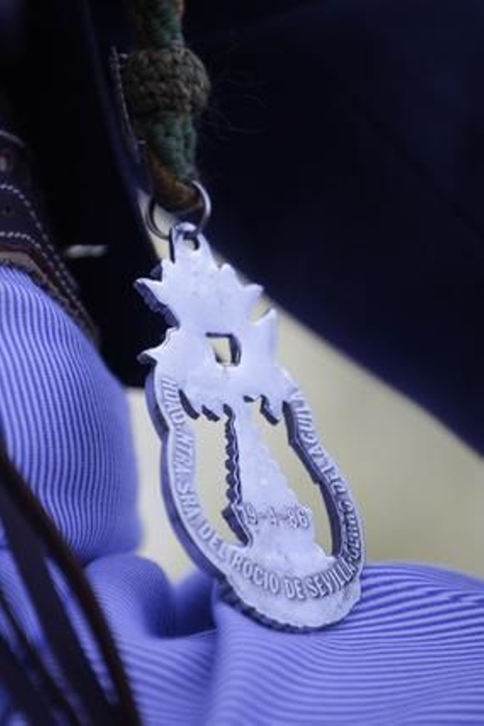 La Hermandad del Cerro del Águila inicia su peregrinación hacia El Rocío.

Foto: BELEN VARGAS