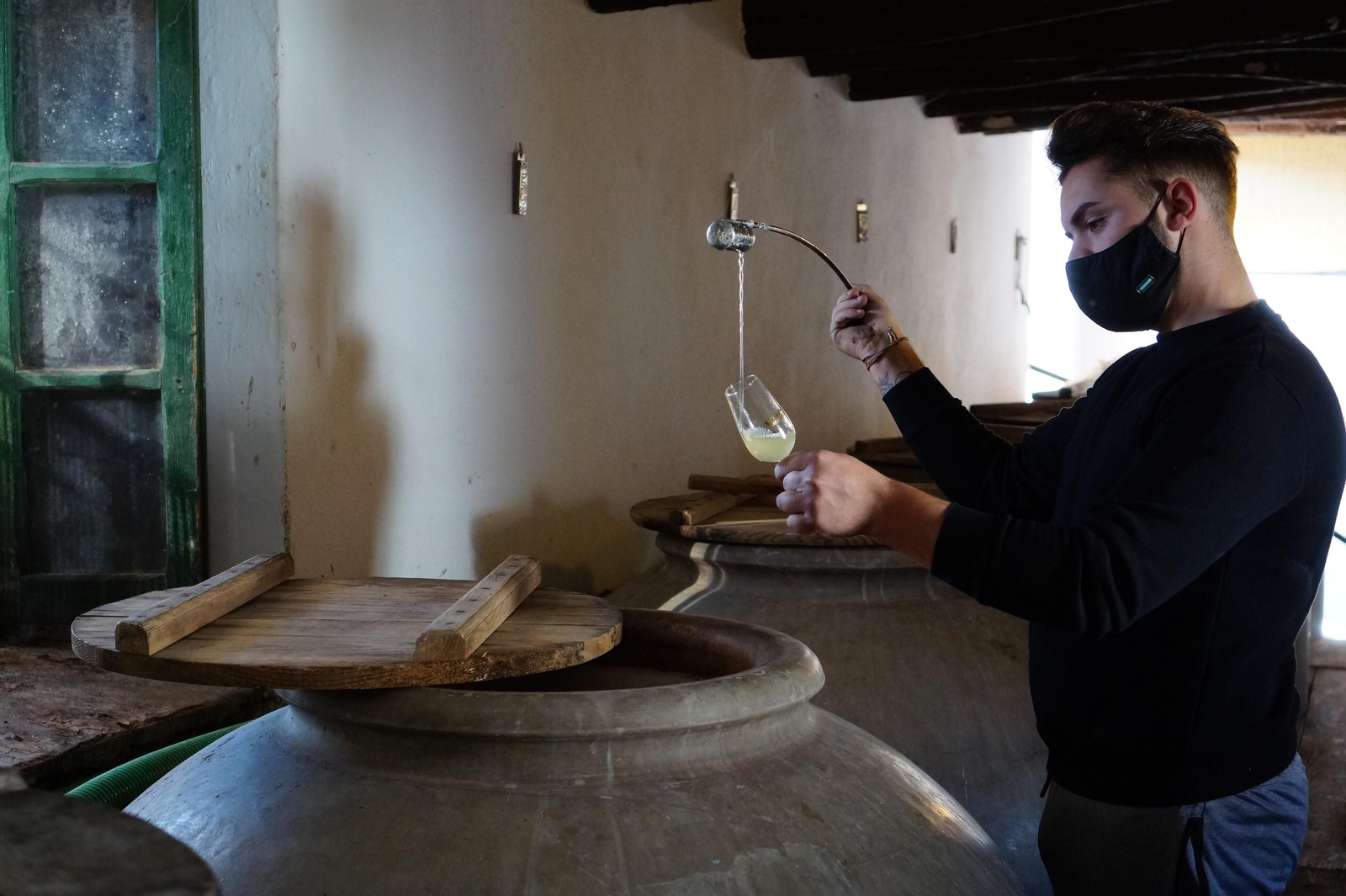 Un recorrido en fotografías por el vino nuevo de Moriles