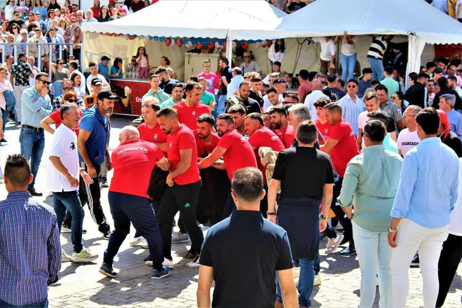 Festividad de San Jorge, patrón de Alcalá de los Gazules